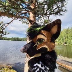 UnzippedShep profile