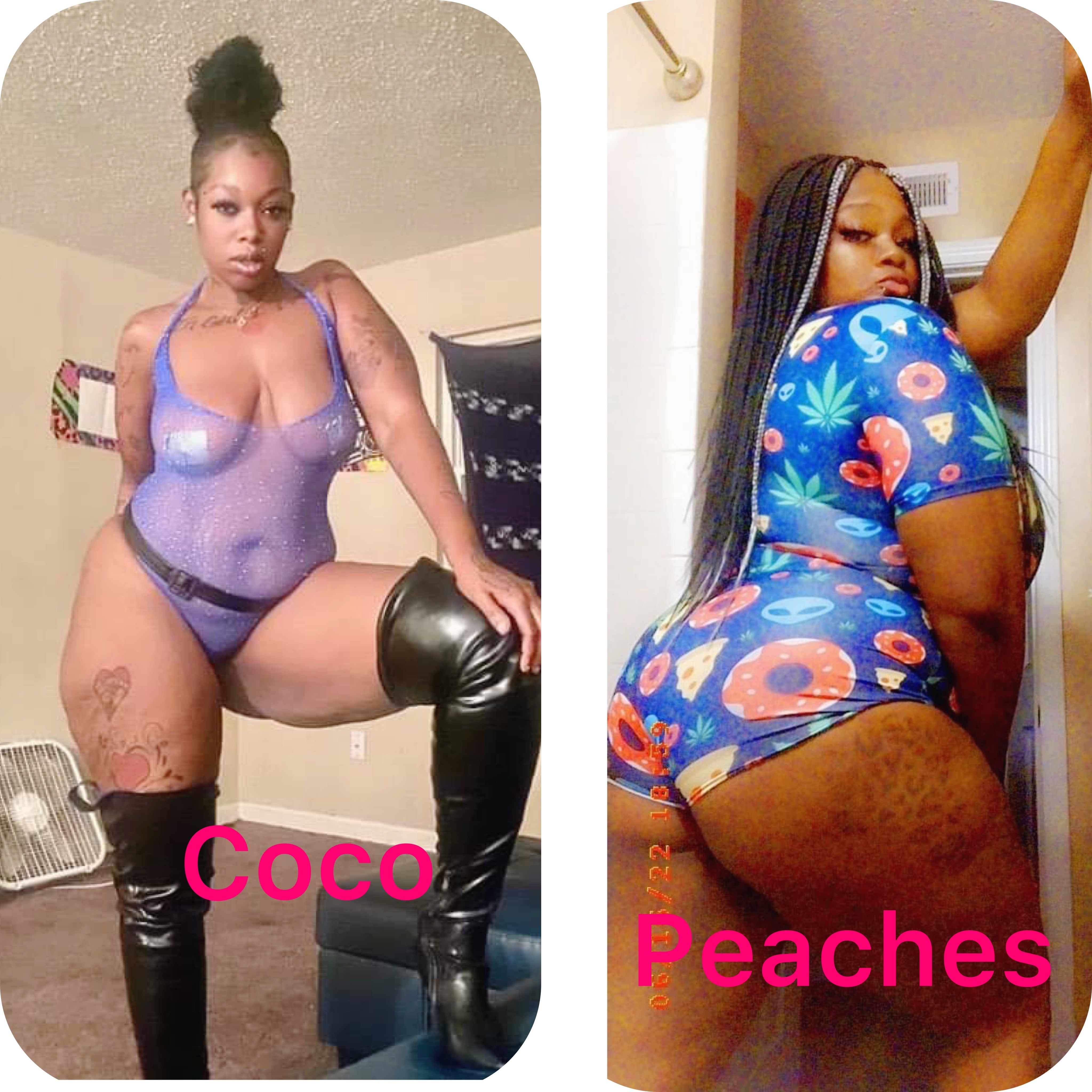 Coco(Bigbooty)Peaches(Bigtittis) profile