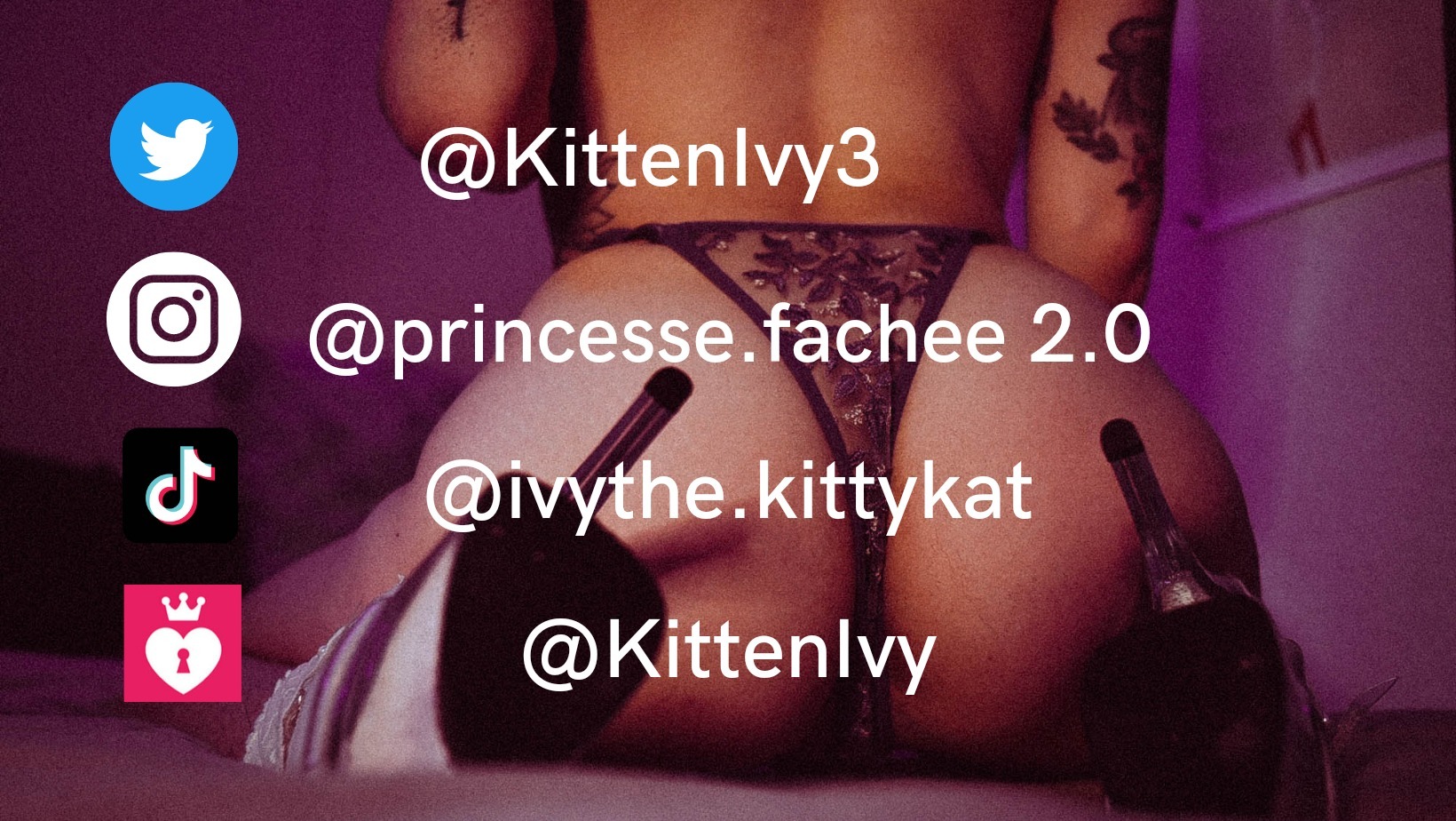 kittenivy thumbnail