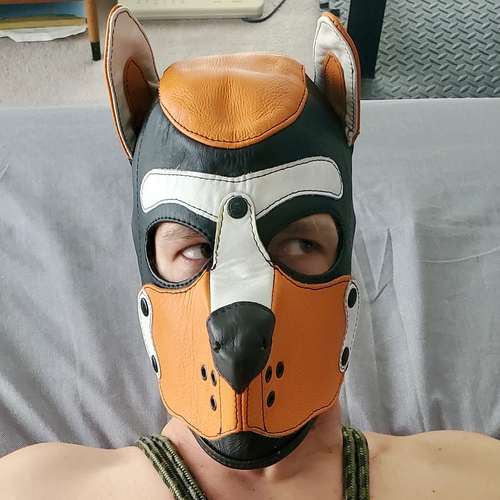 pupxoloxxx profile