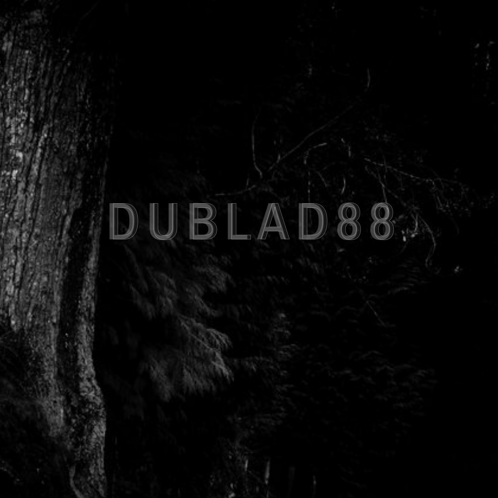 DUBLAD88 profile