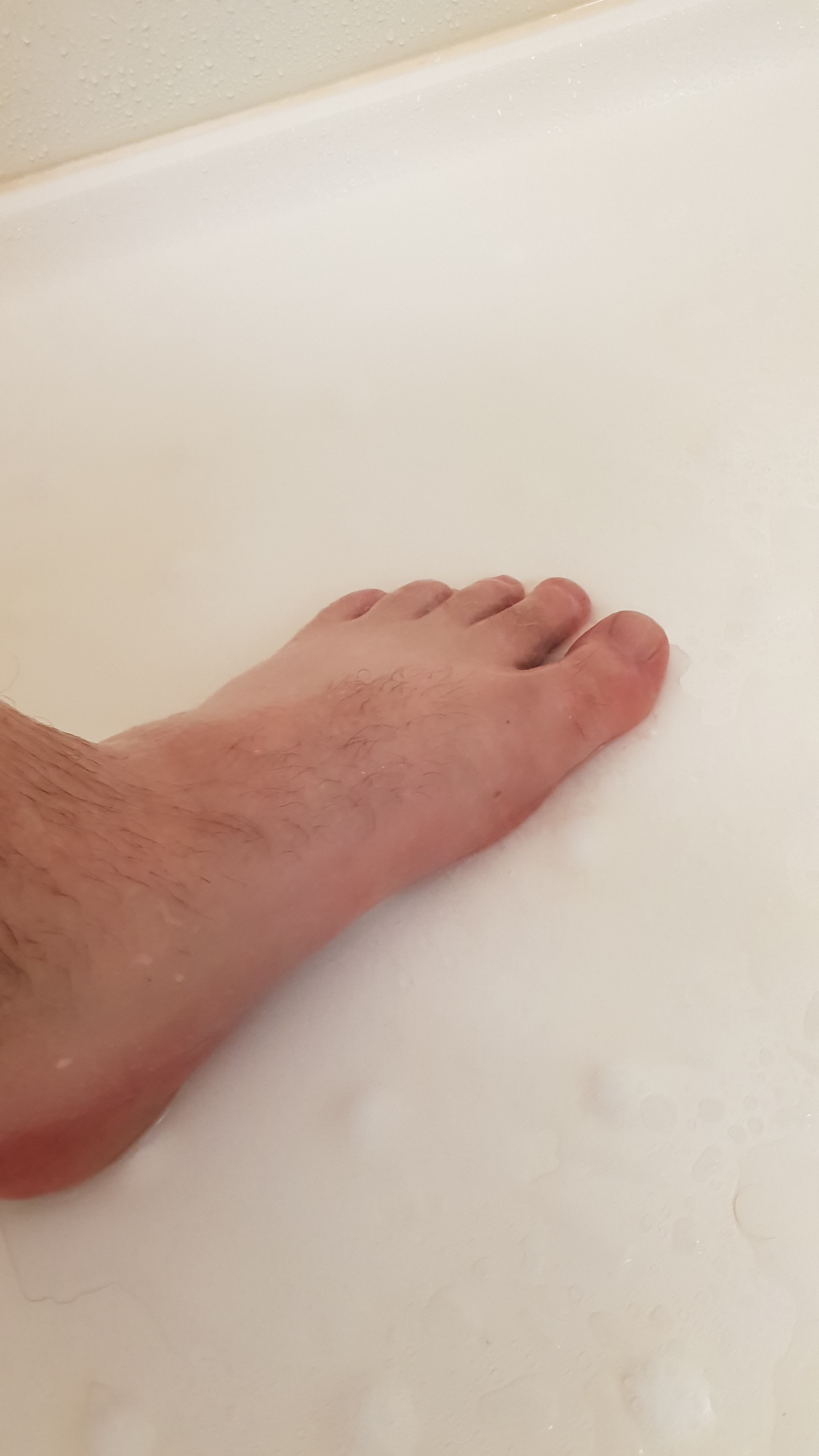 meatnfeetcover