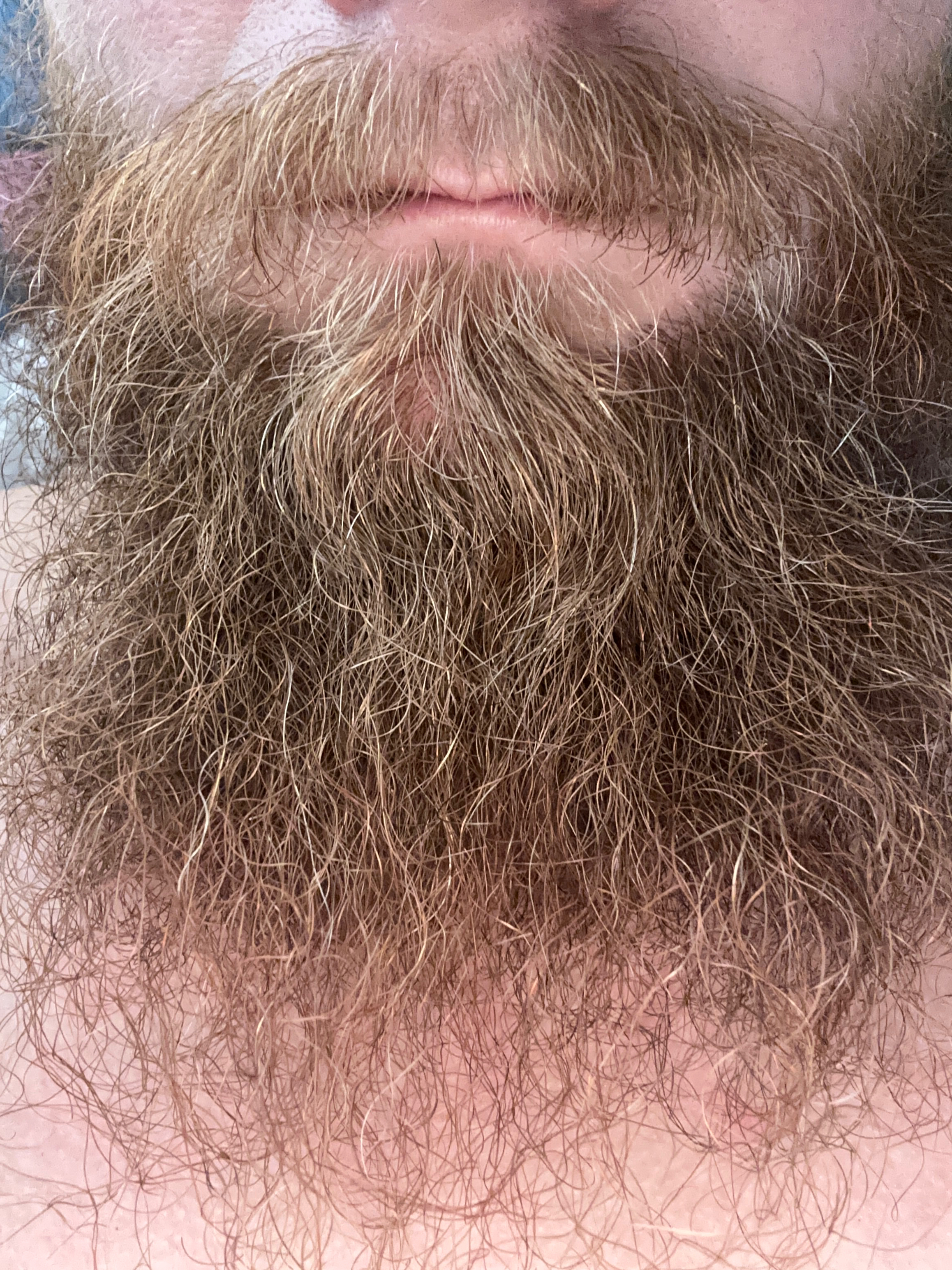 redbeard1.0 profile