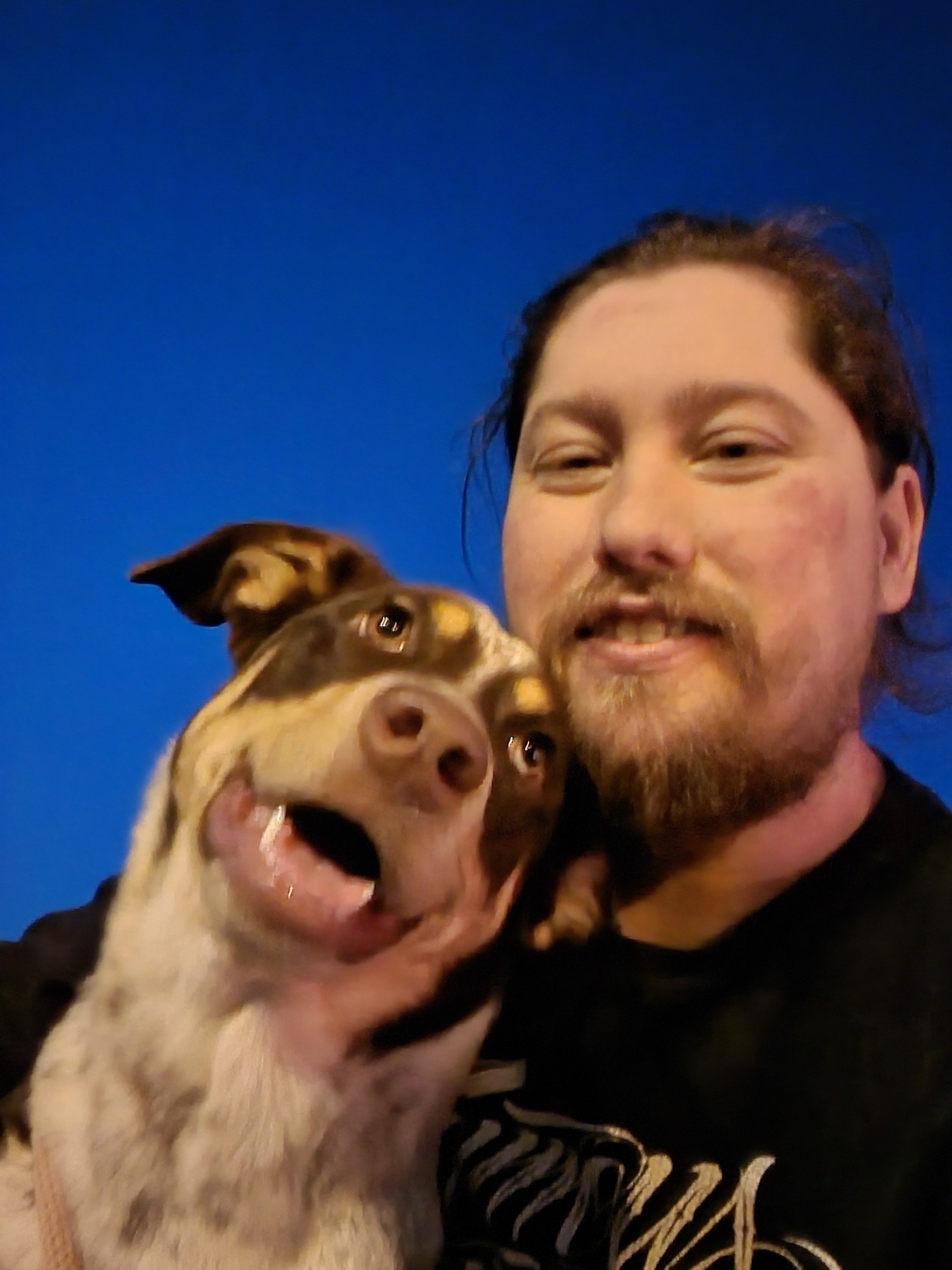 dadboddogdad thumbnail