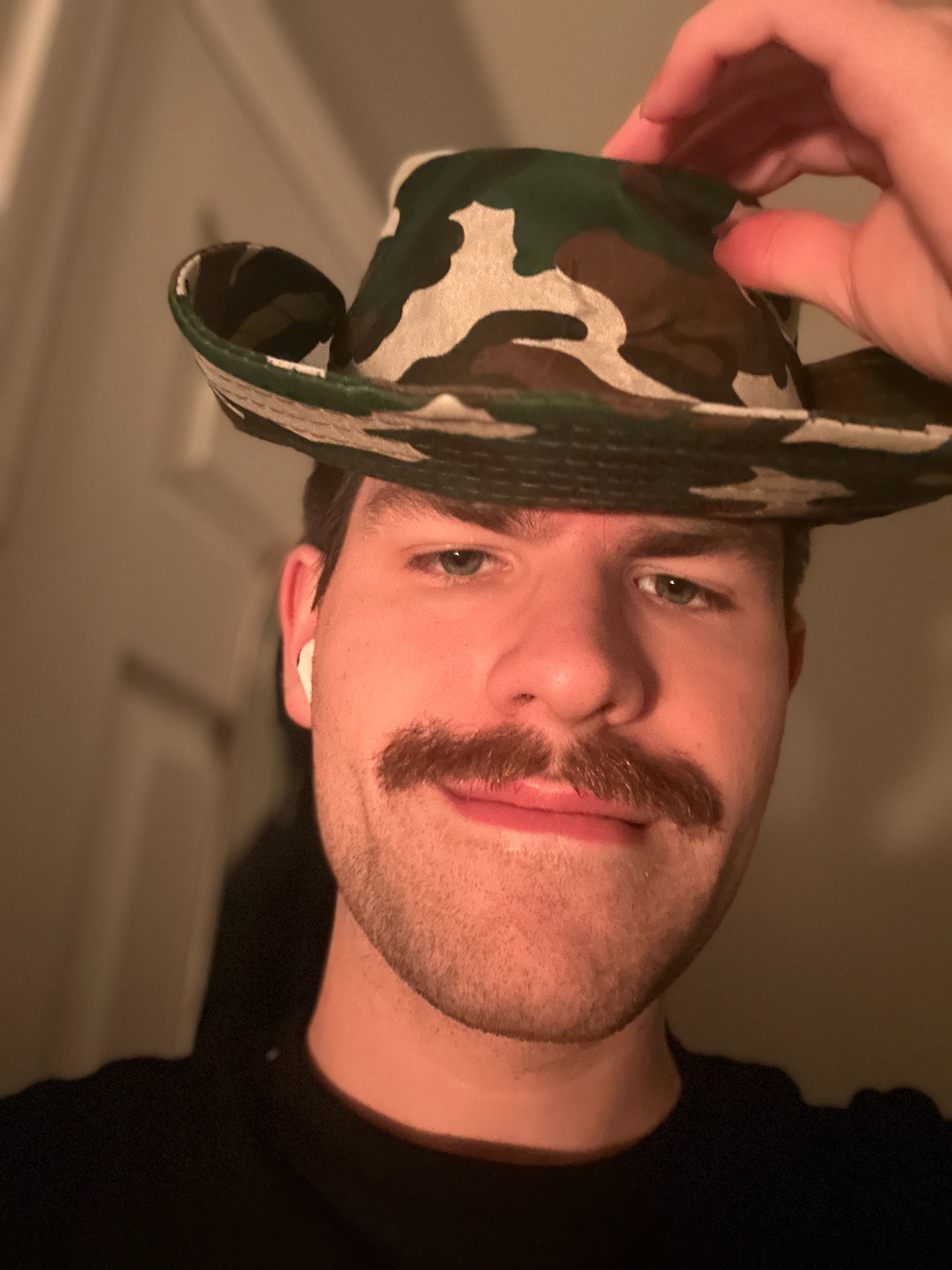 chistachecub profile