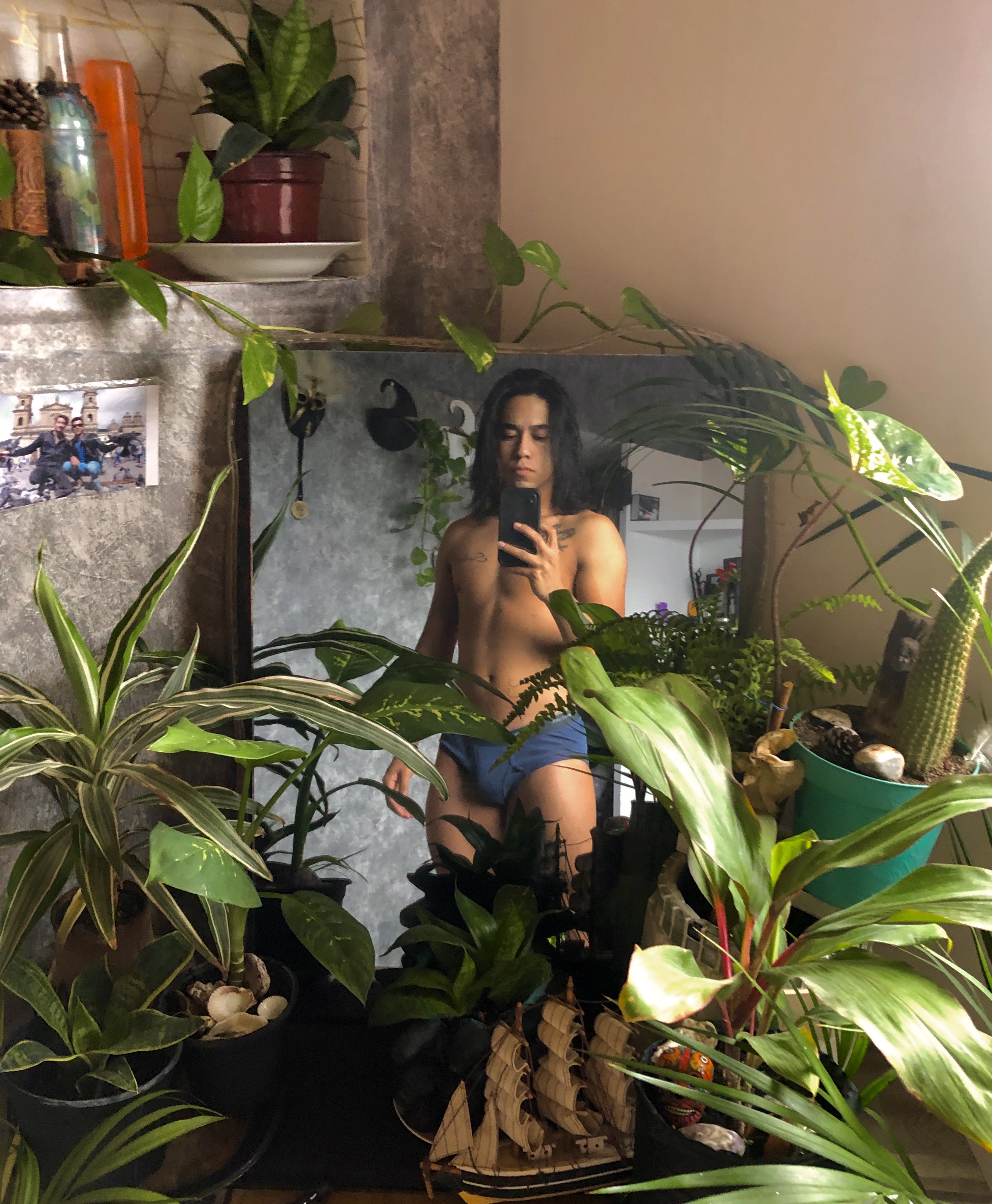 wildplantxxx profile