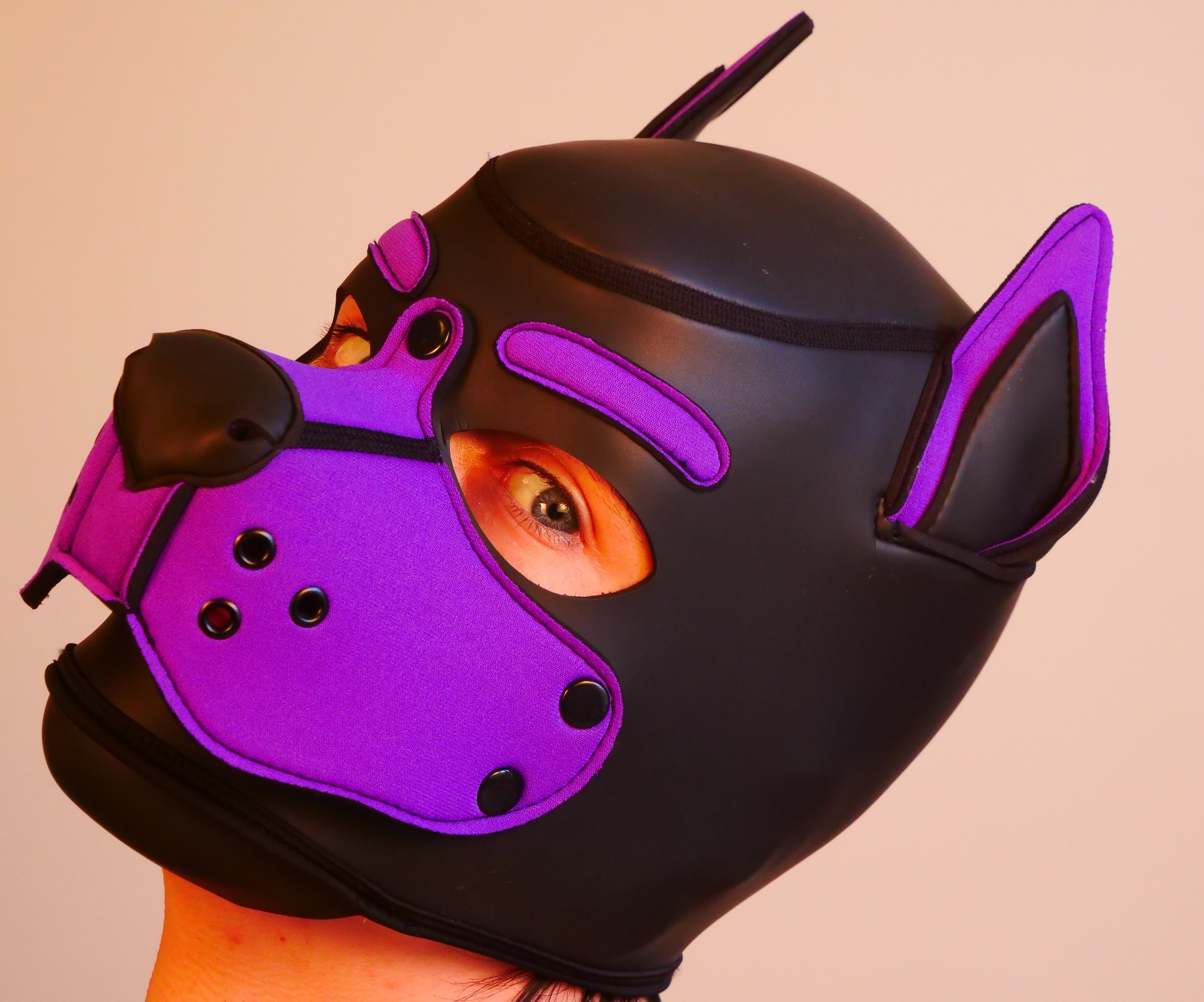 Loki The Purple Rubber Pupper thumbnail