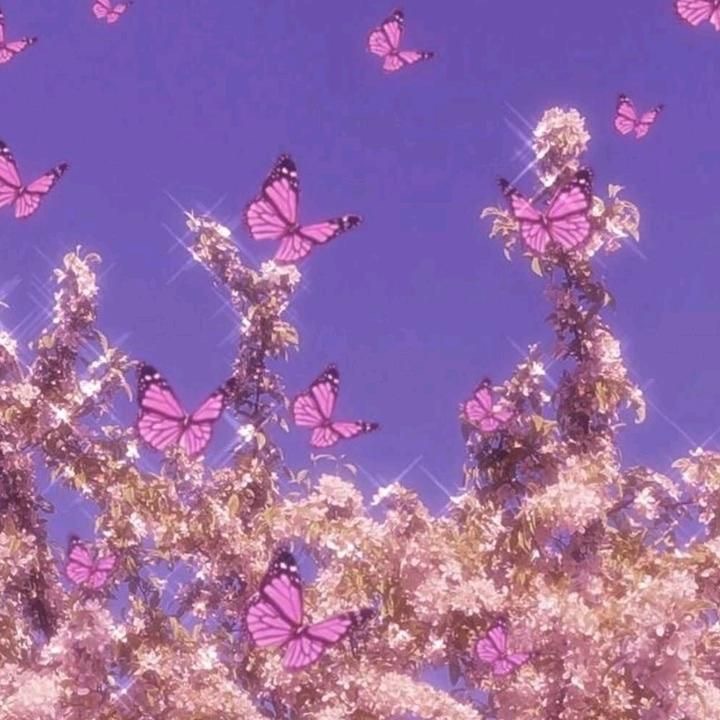 violet-roses thumbnail