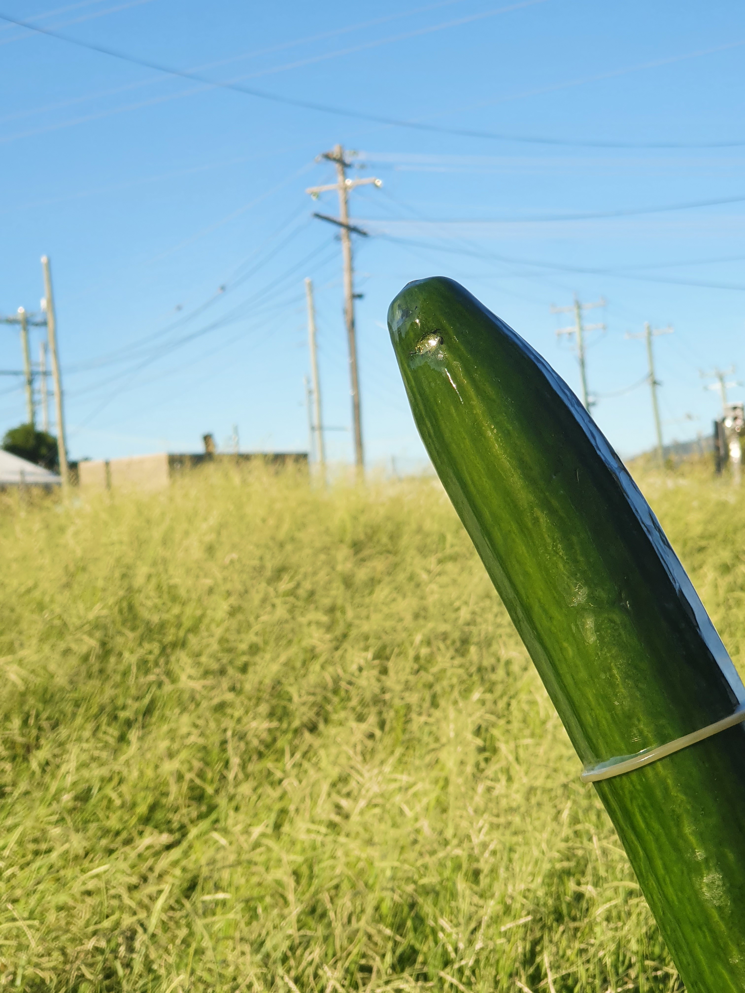 The Chunky Cuke profile