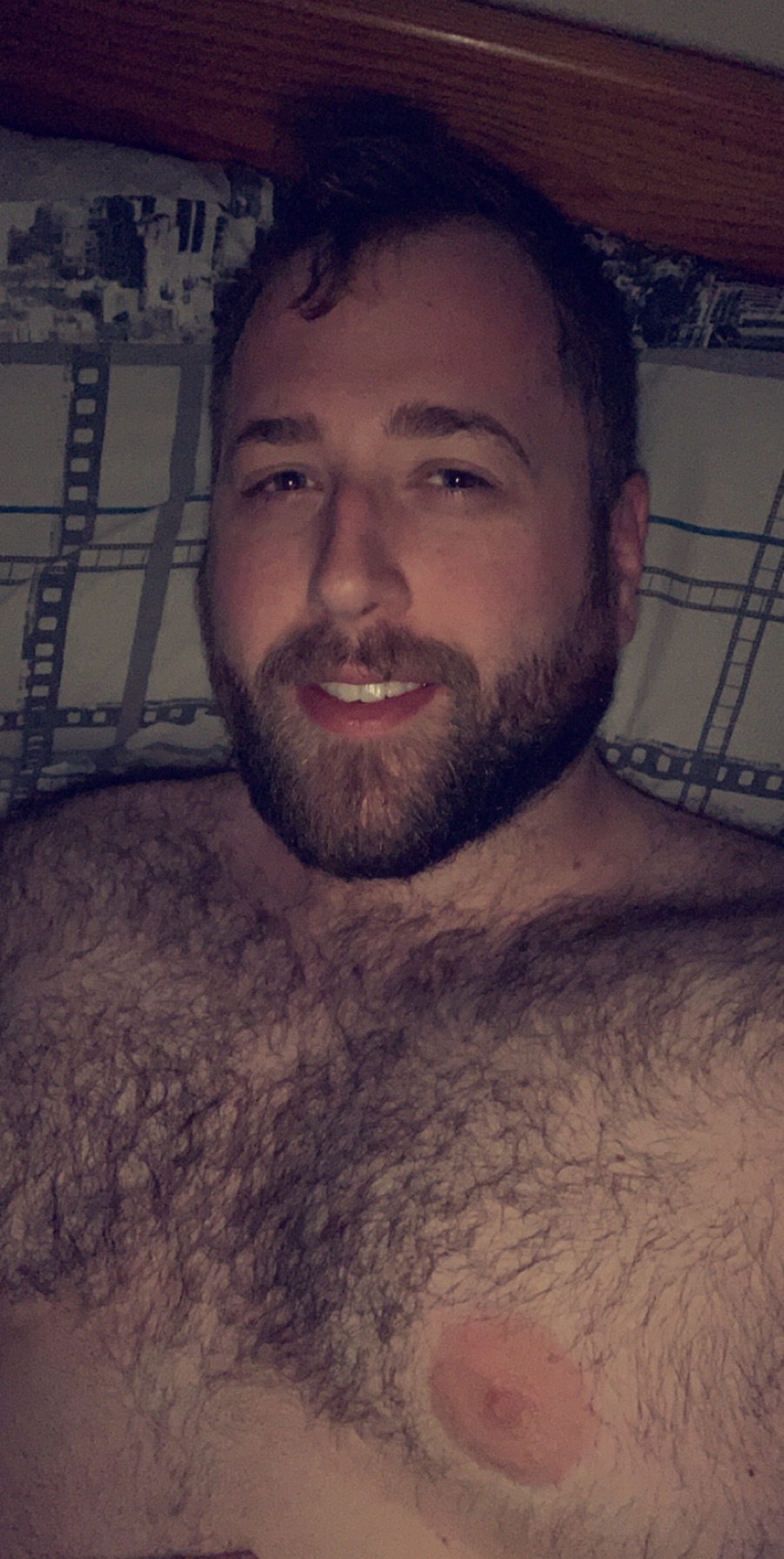 Irish Beef 🐻 profile