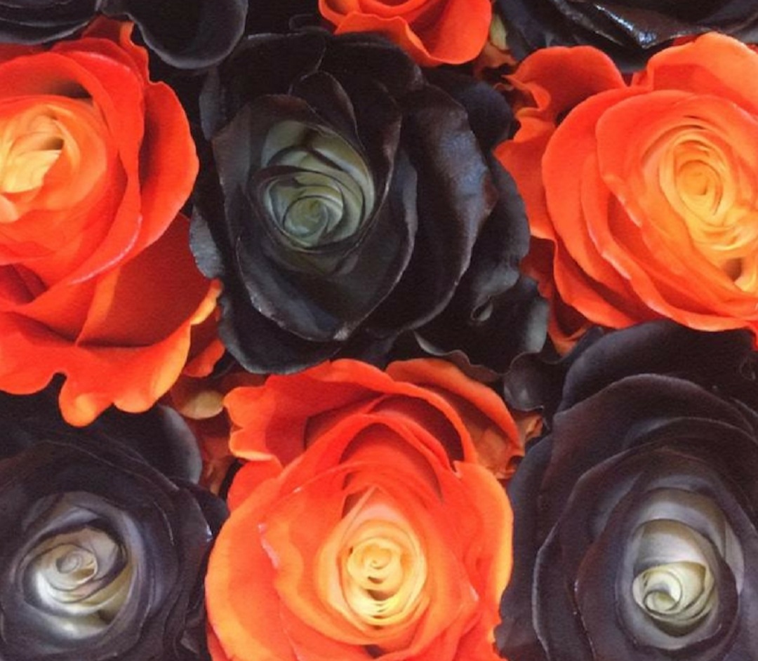 Halloween Rose thumbnail