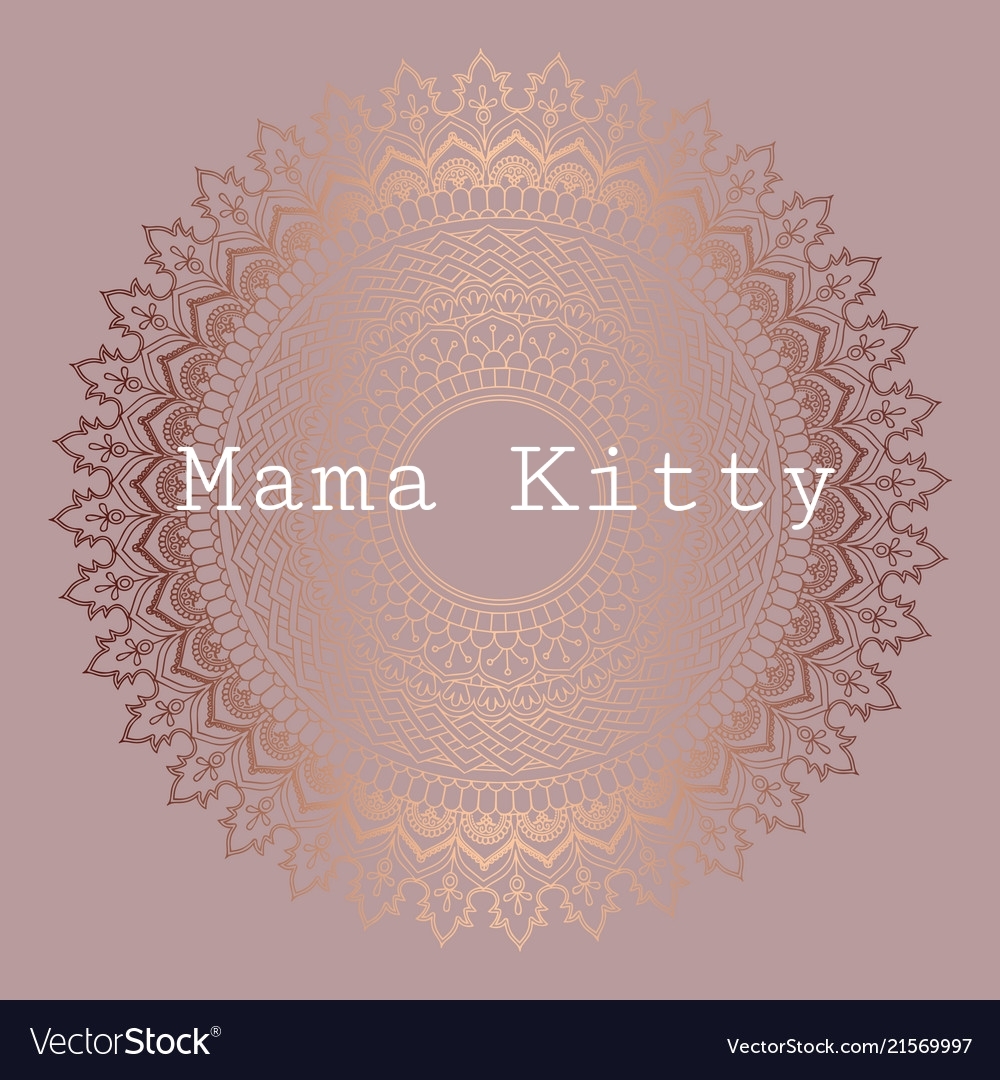 Mama Kitty 💕 thumbnail