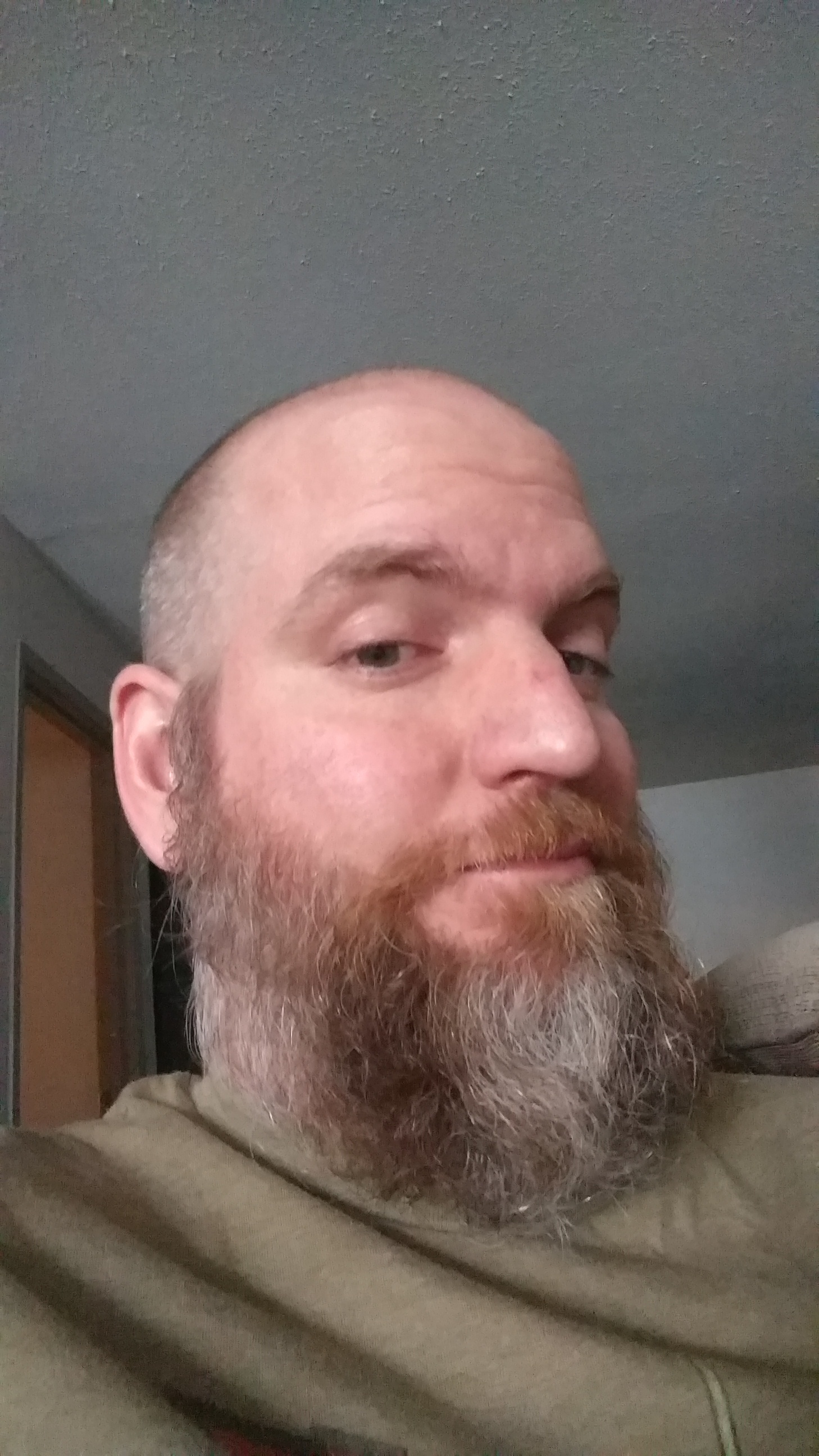 redbeardarrgh profile