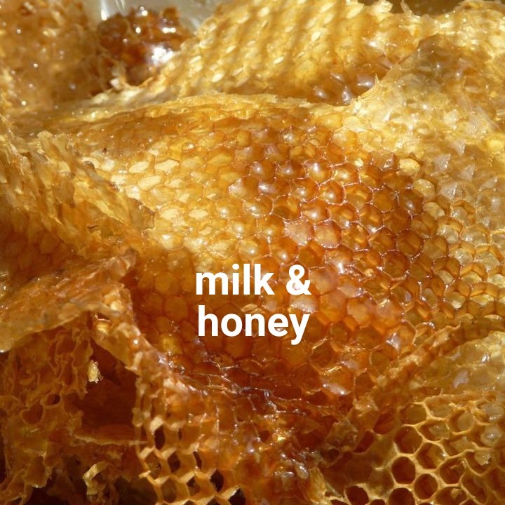 milkandhoney4fanscover