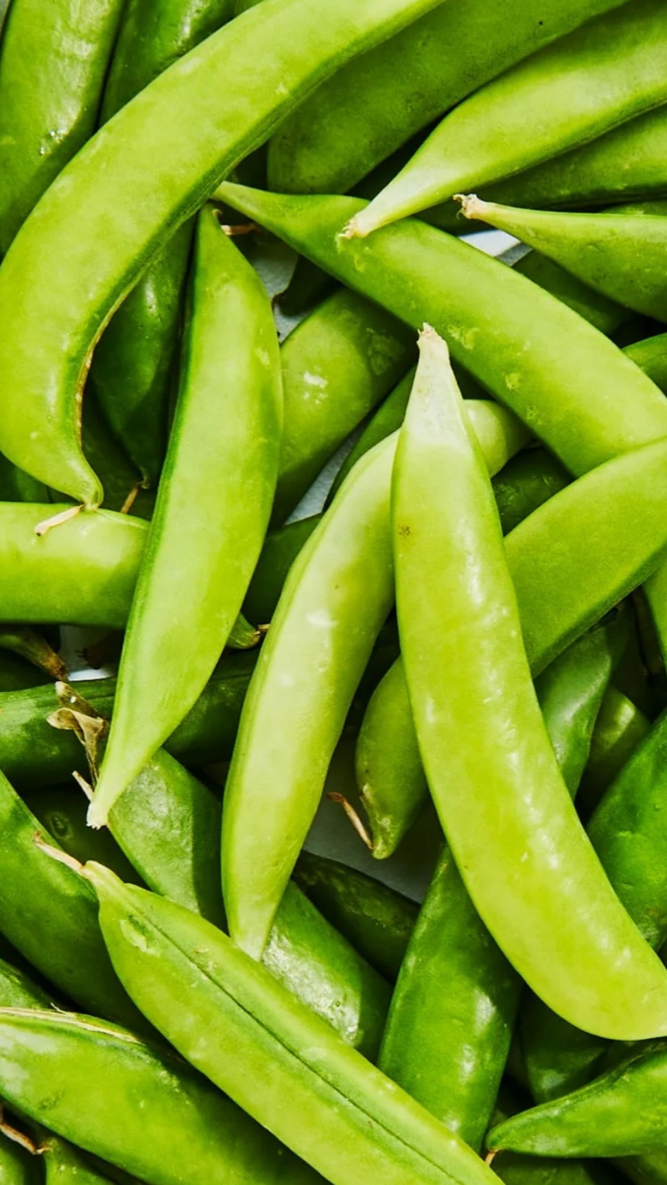 Sugar Peas thumbnail