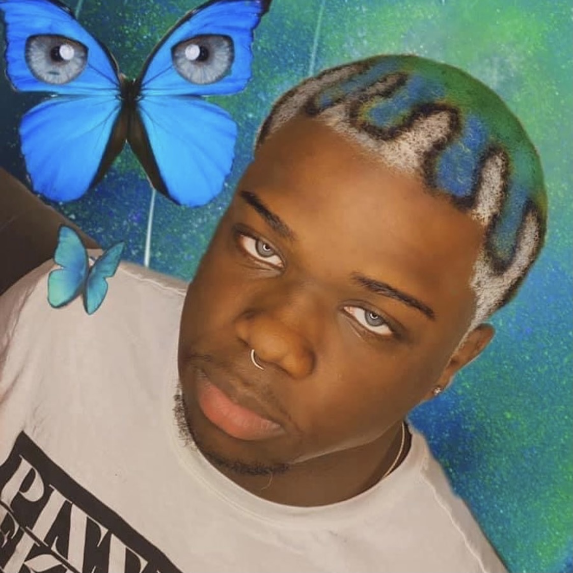 vangogh_thehoe thumbnail