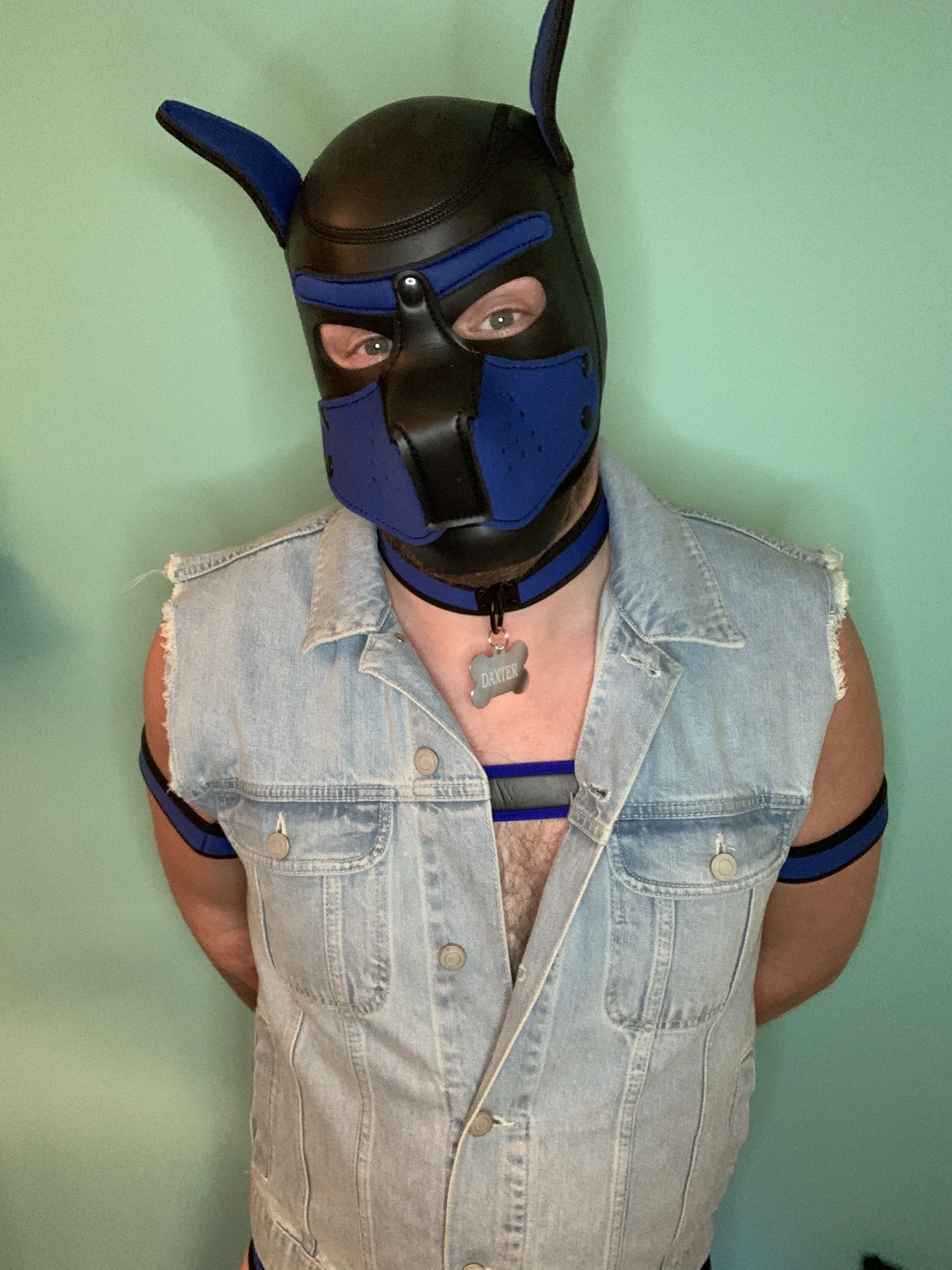 pup_daxter profile