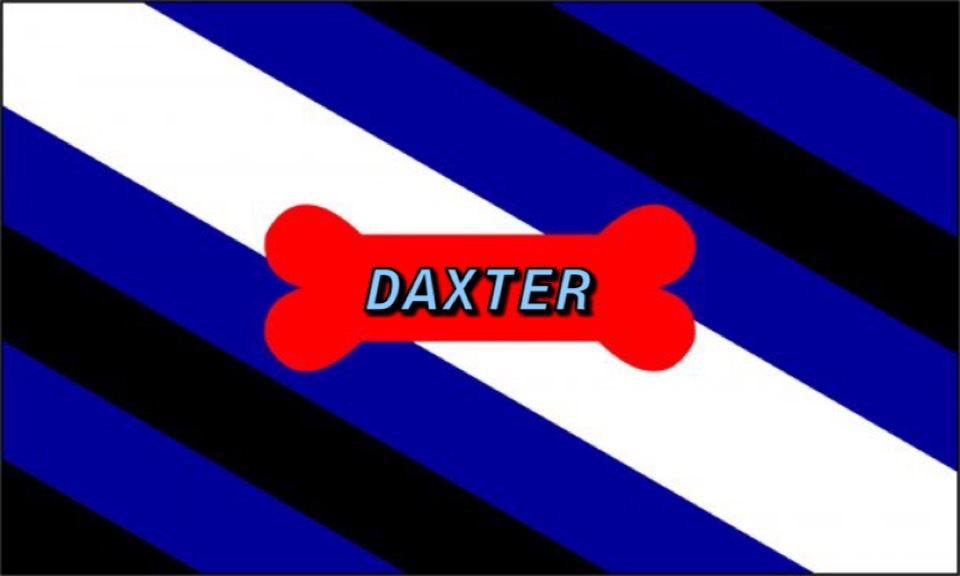 pup_daxter thumbnail