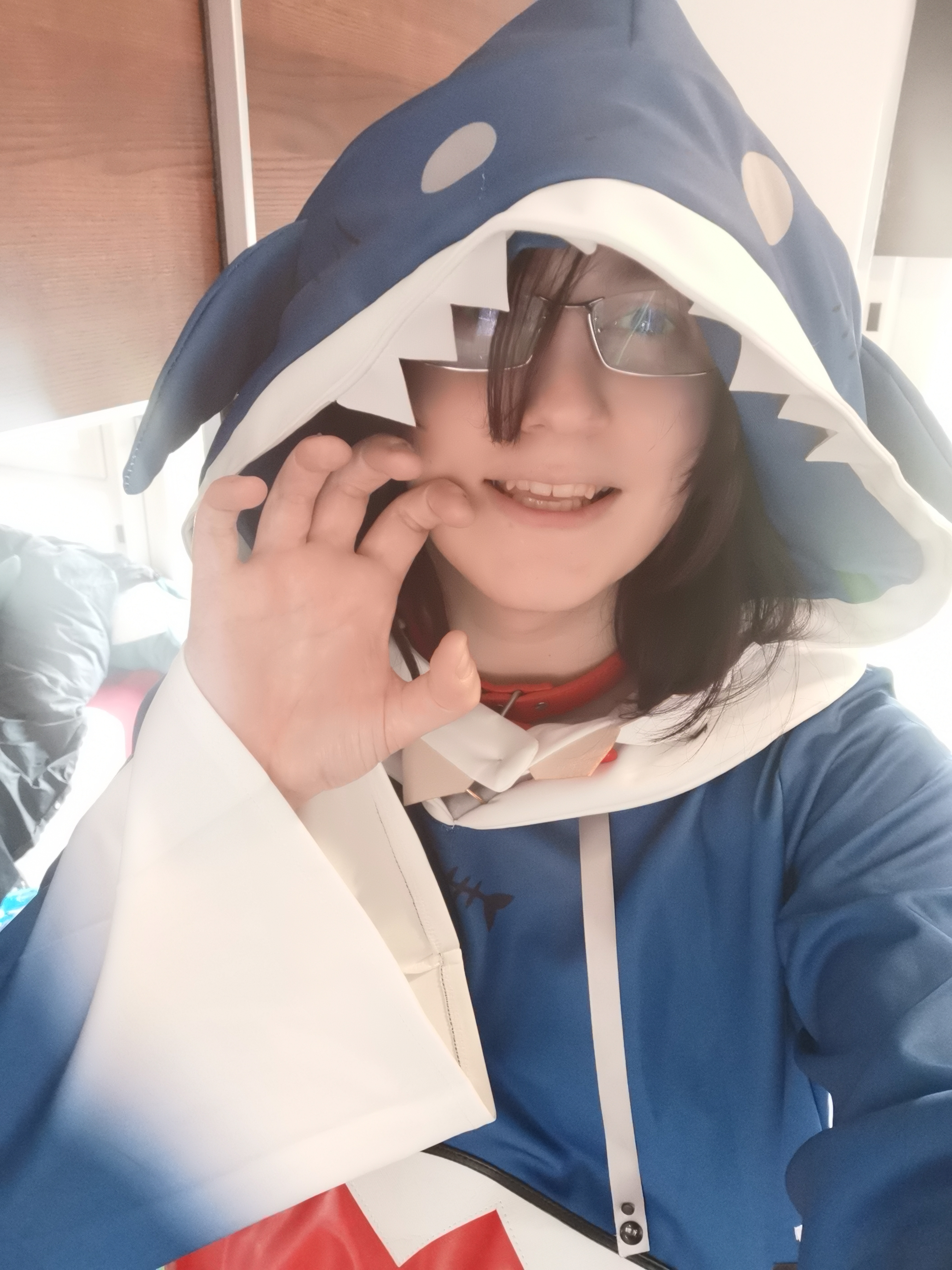 sharkplushiecover