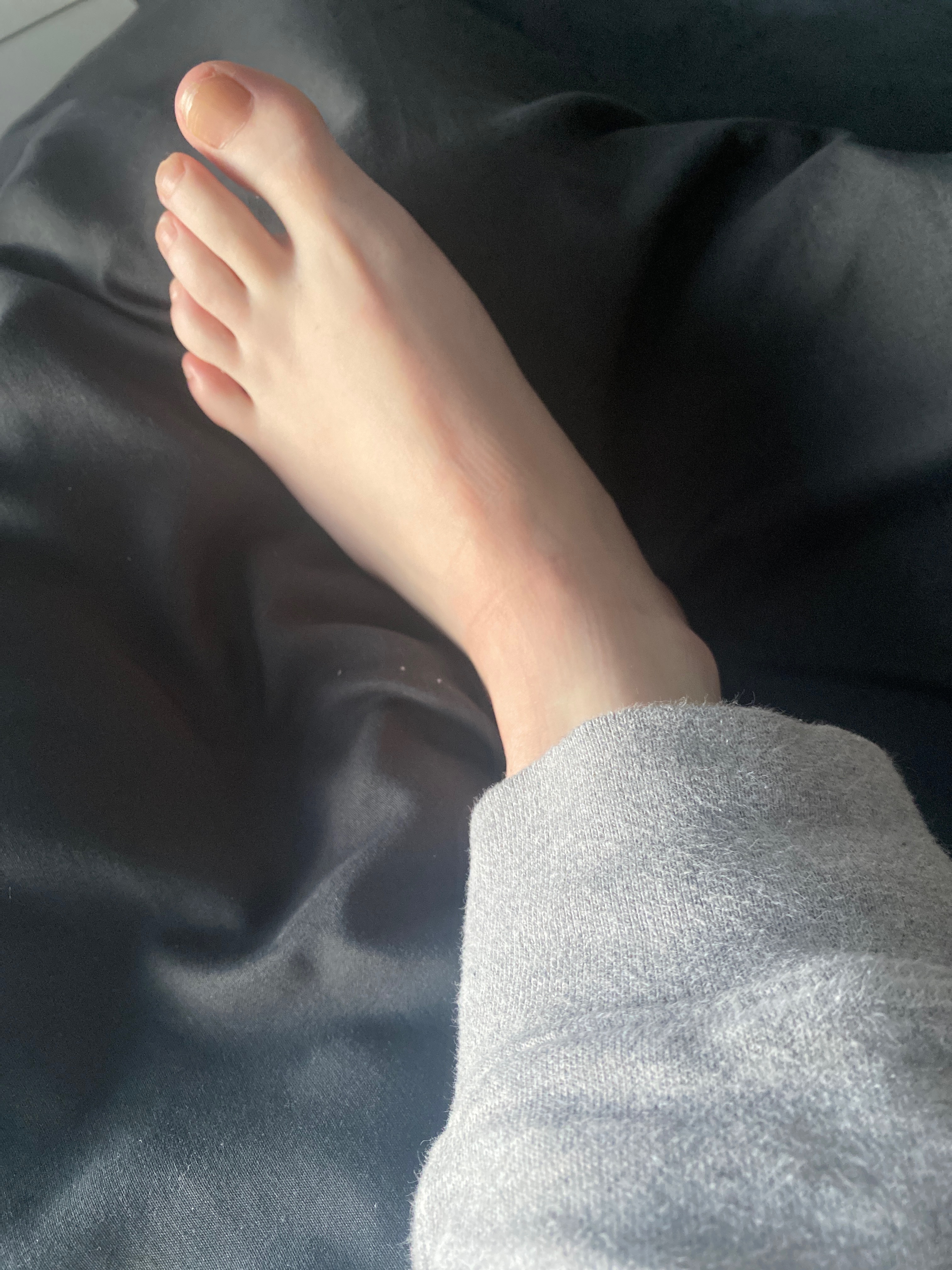 Toebabe profile