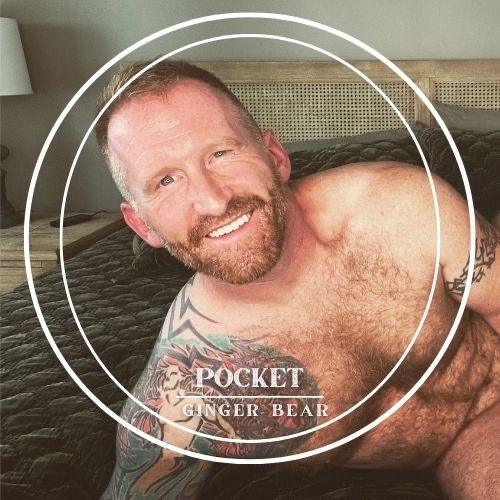 PocketGingerBear profile