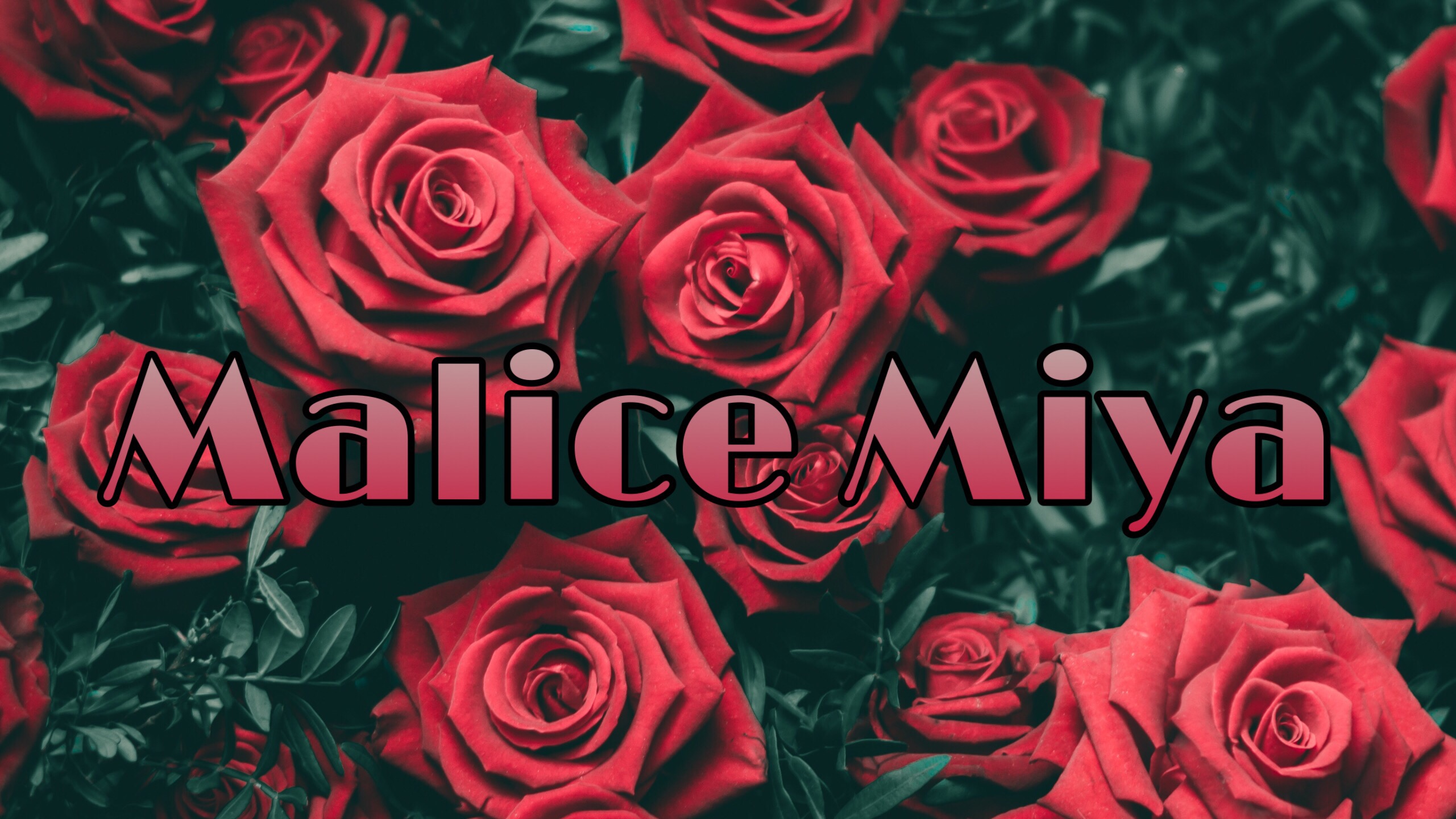 Malice Miya thumbnail