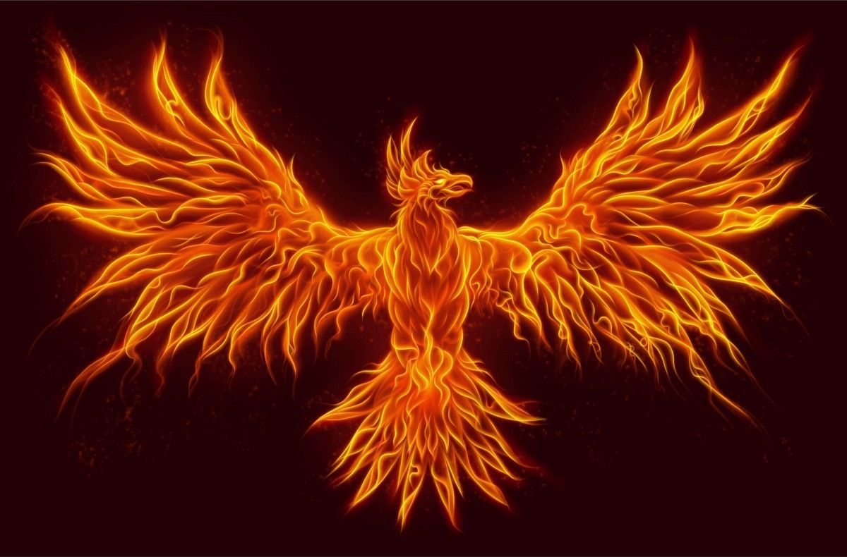 Phoenix Rising thumbnail