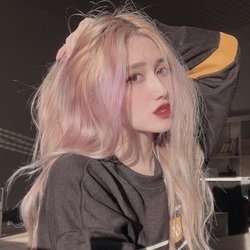 alexmatcha profile