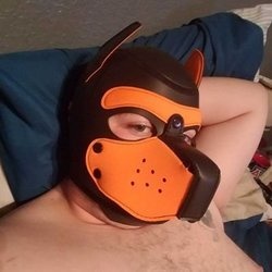 Jackpup profile