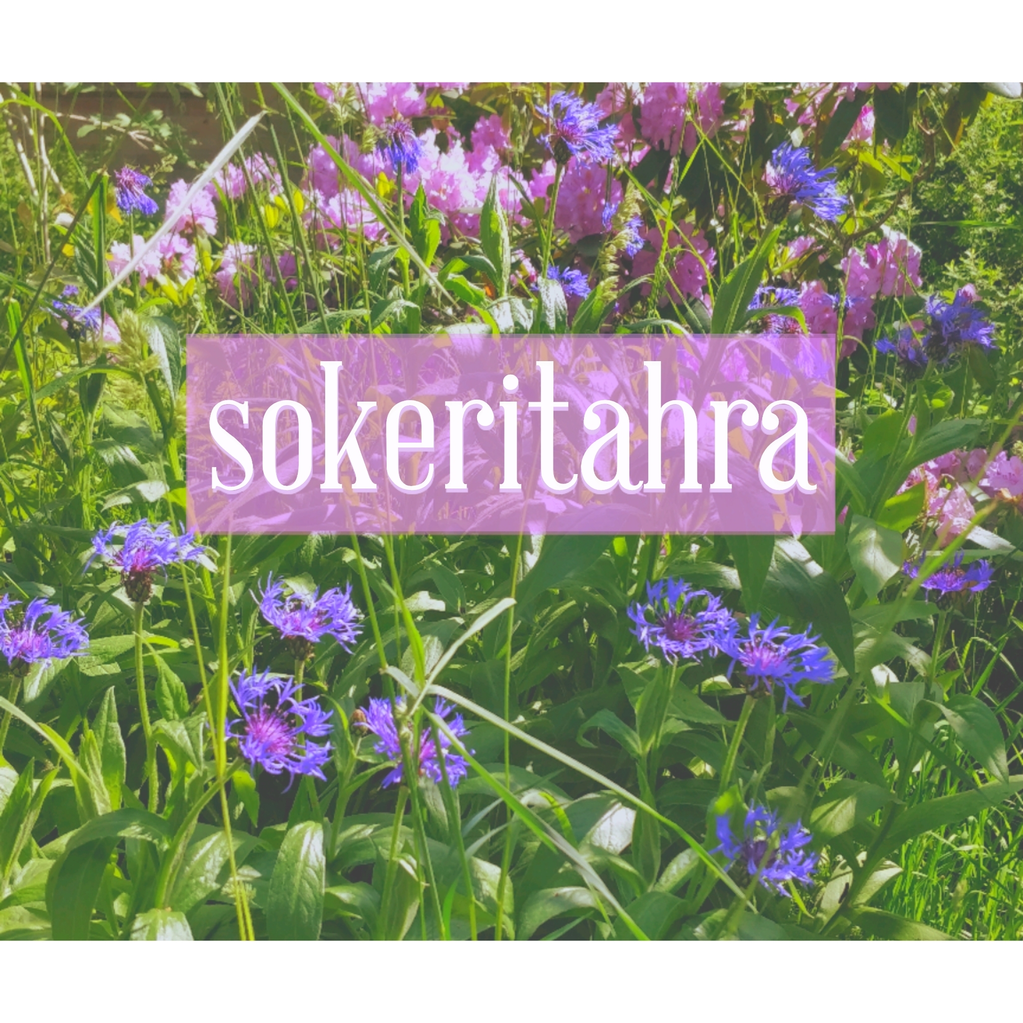 Sokeritahra thumbnail