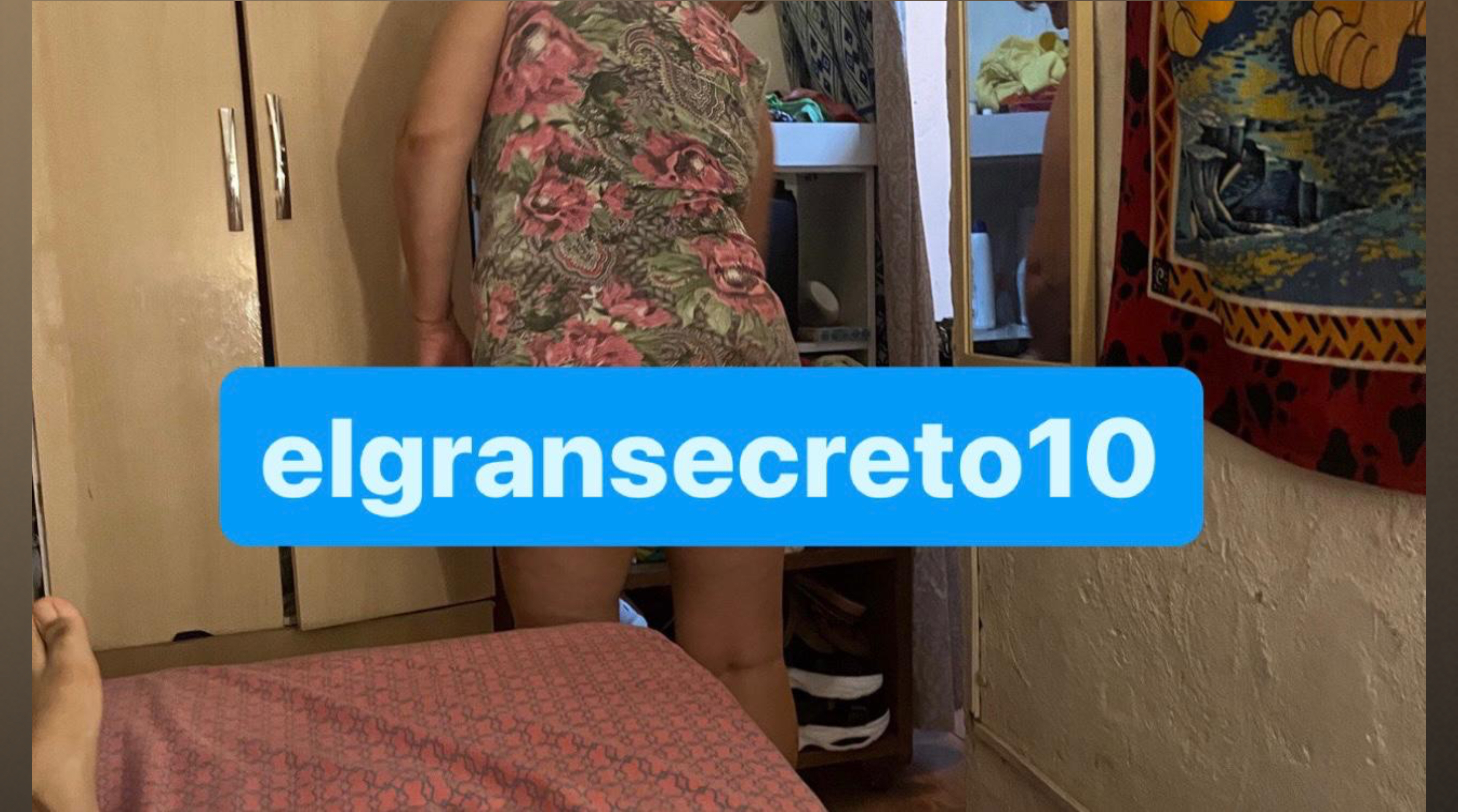 elgransecreto10cover