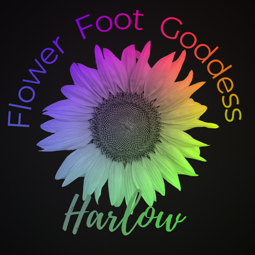 Harlow Flower Foot Goddess 🌻 profile