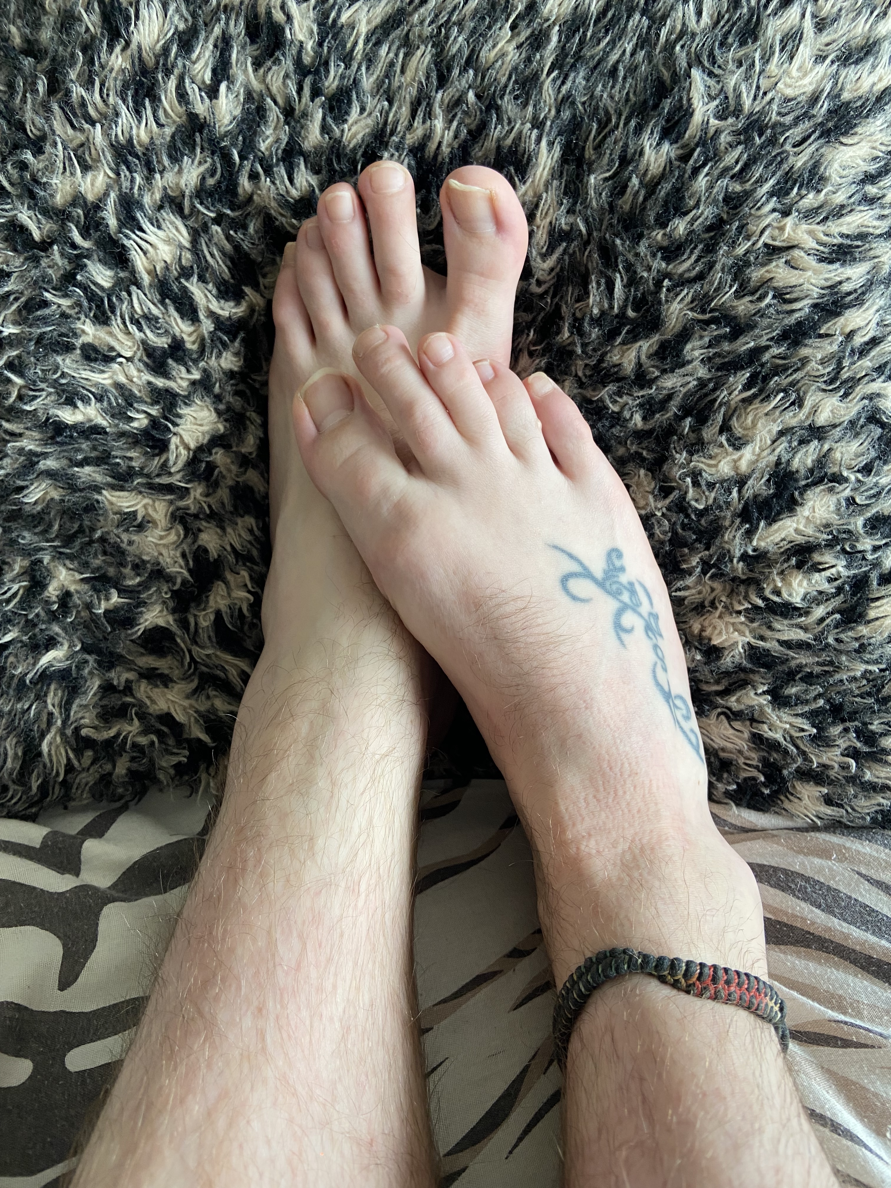 Scottish Fab Feet profile