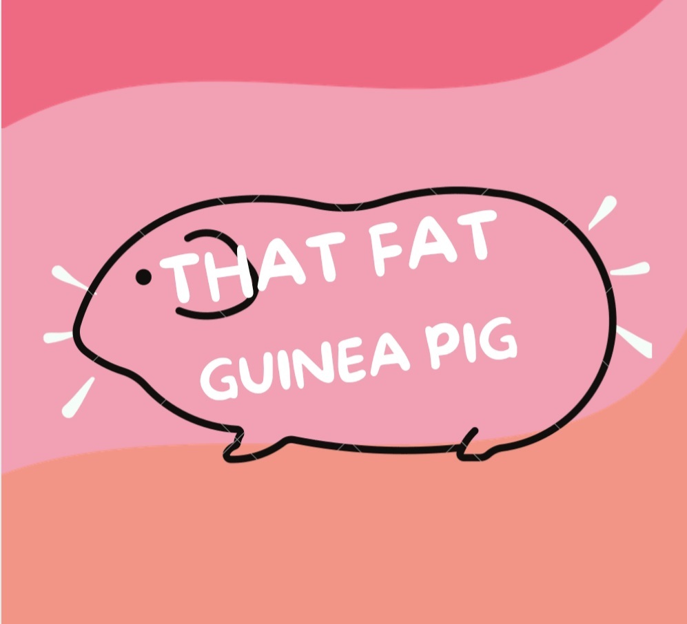 That Fat Guinea Pig profile