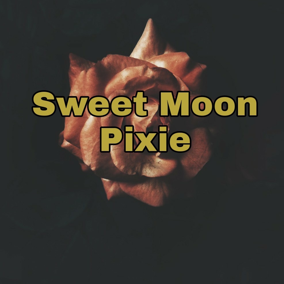 Moon thumbnail