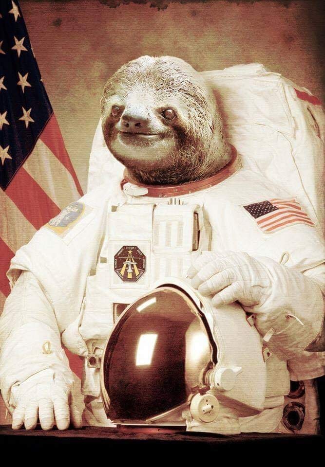 spacesloth profile