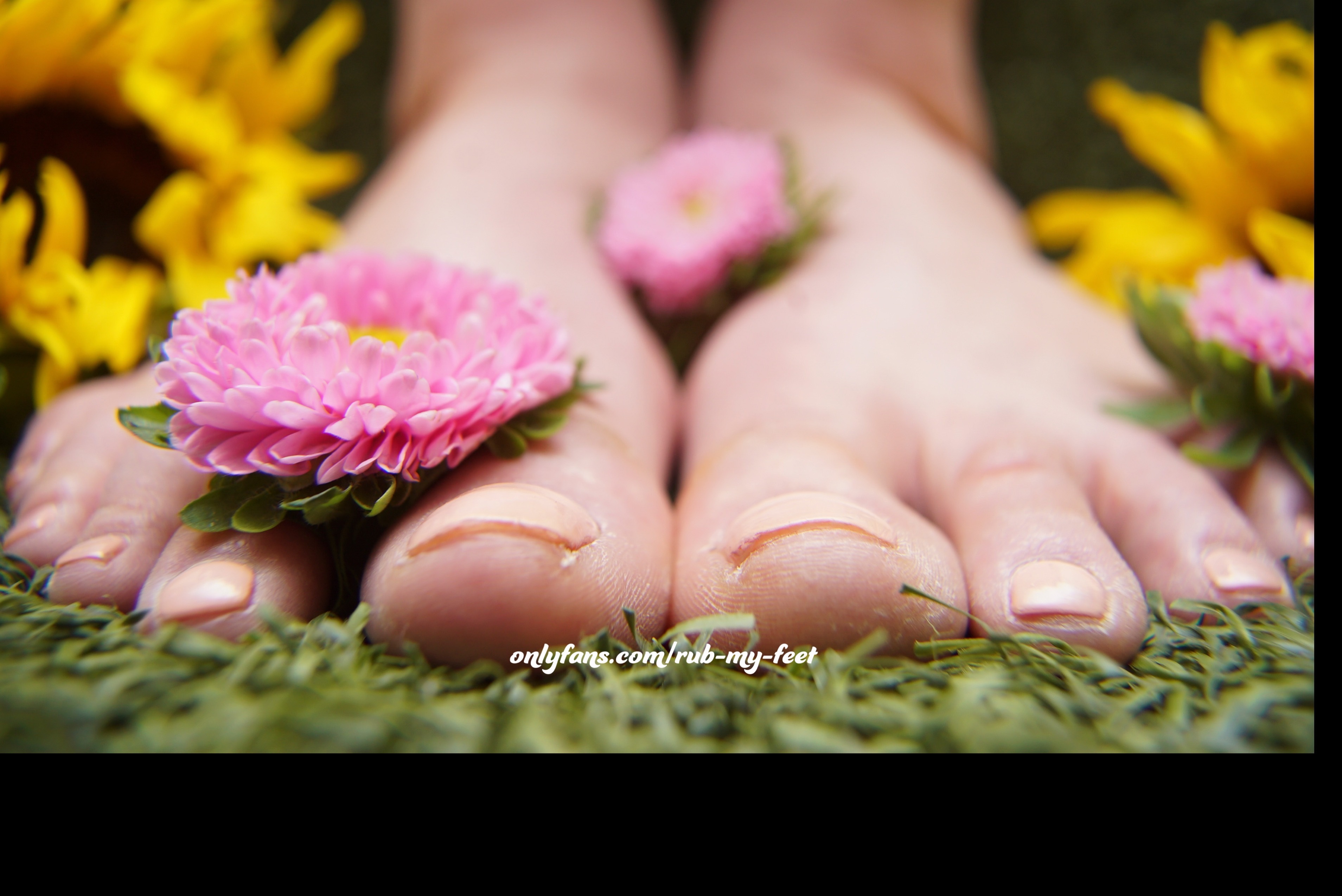 rub-my-feet thumbnail