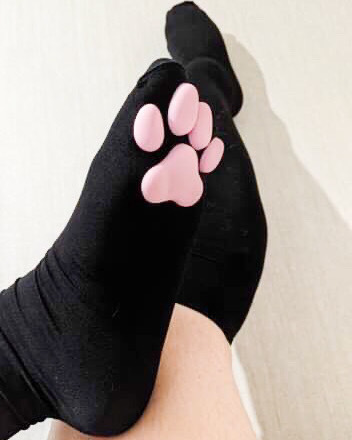 Mx Persia Paws profile