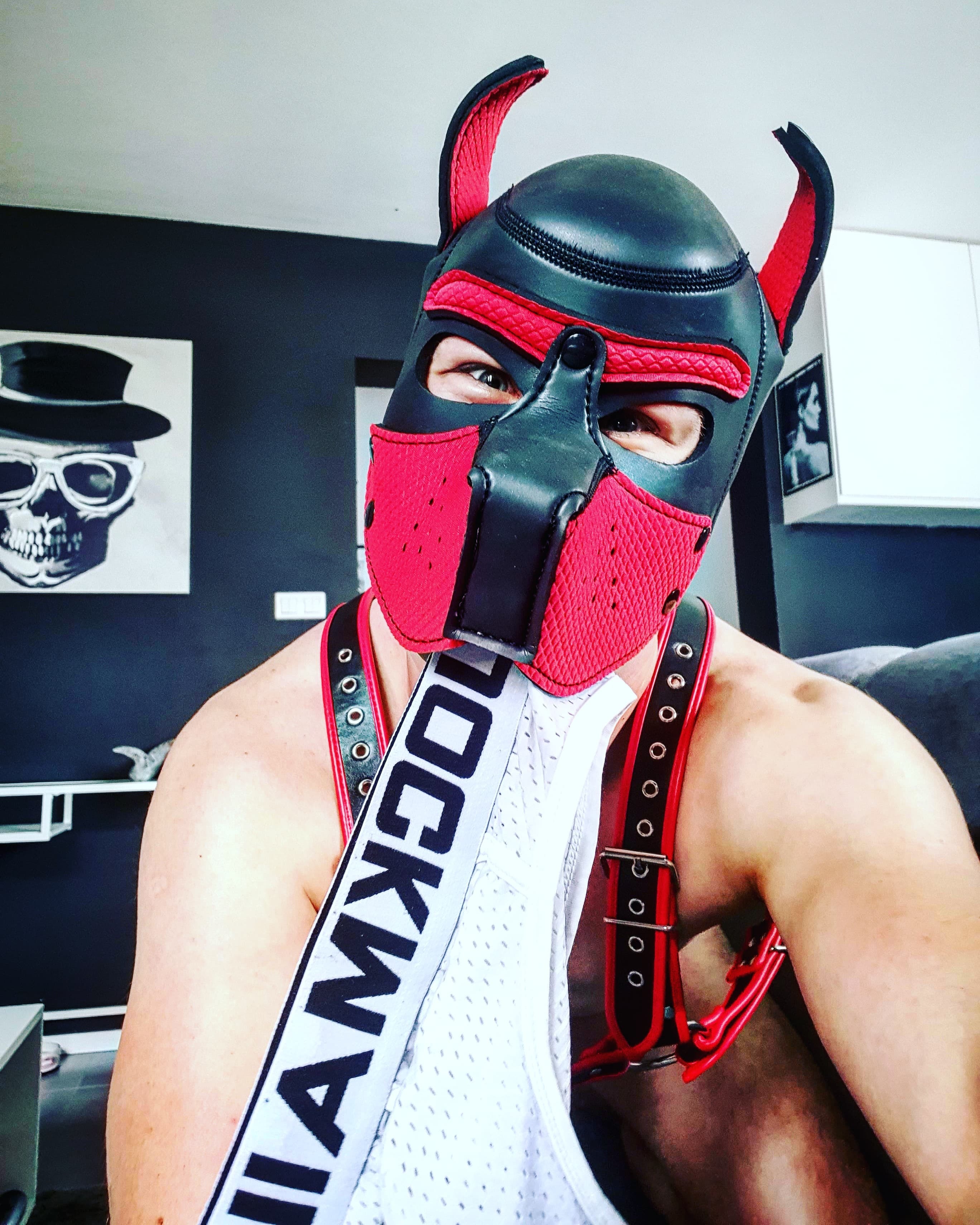 puppyplay.pride profile