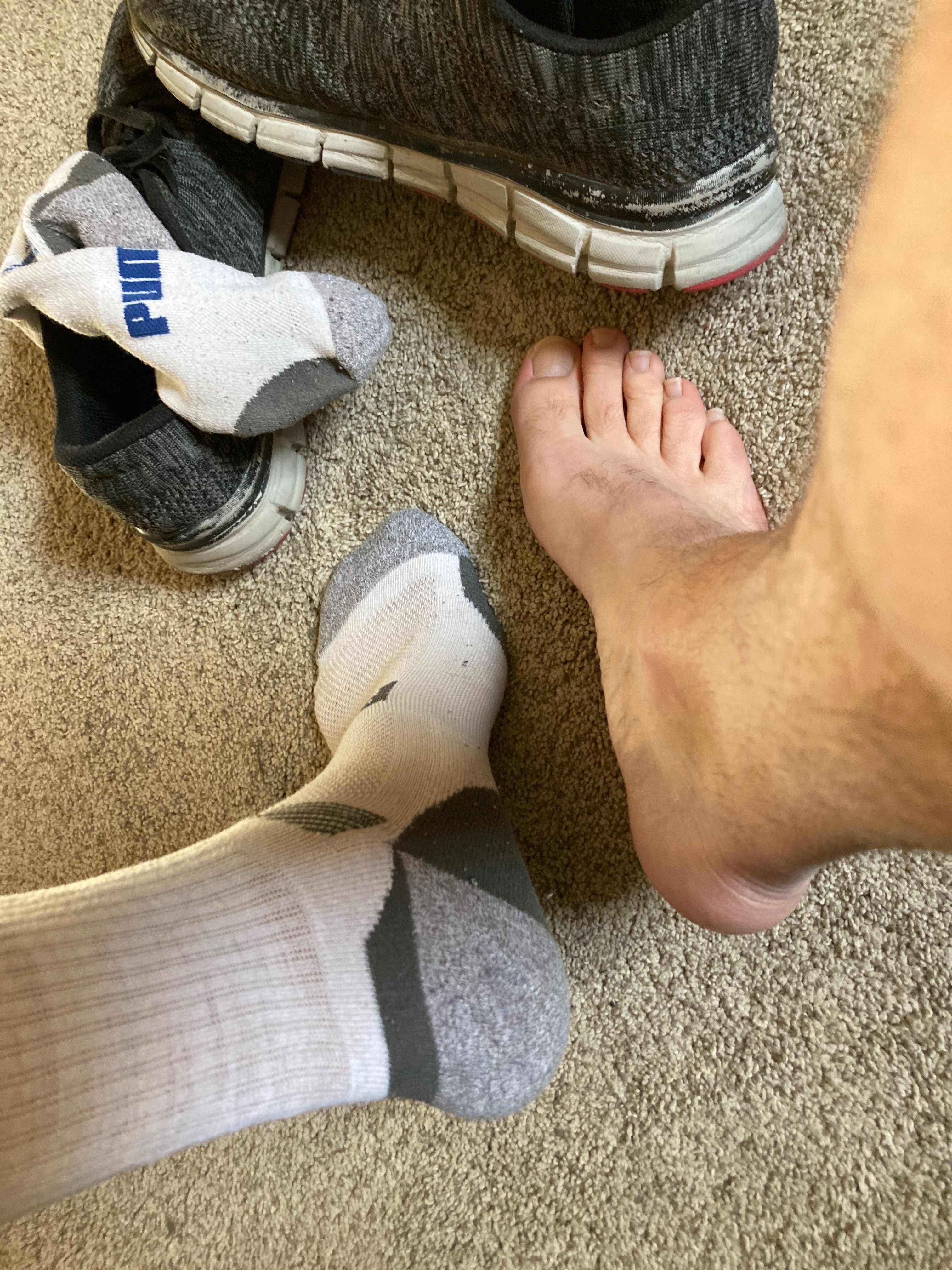 sockjunk profile