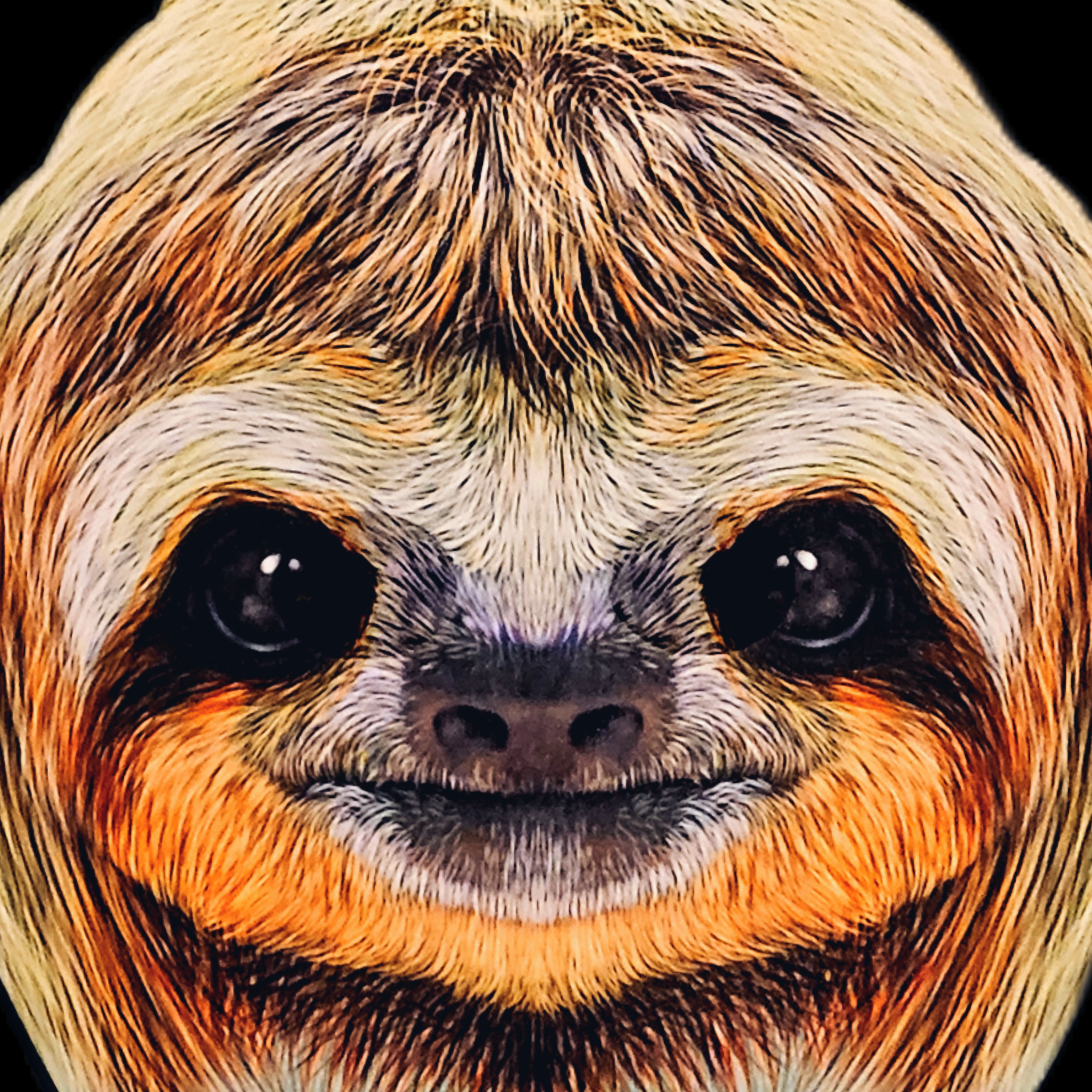 Slothstronaut profile