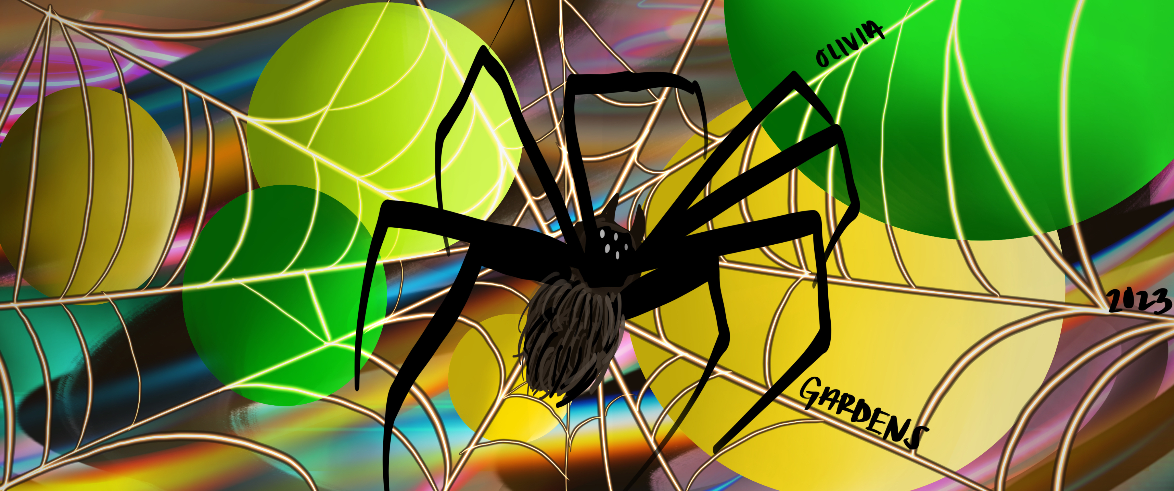 spiderinyourgarden thumbnail