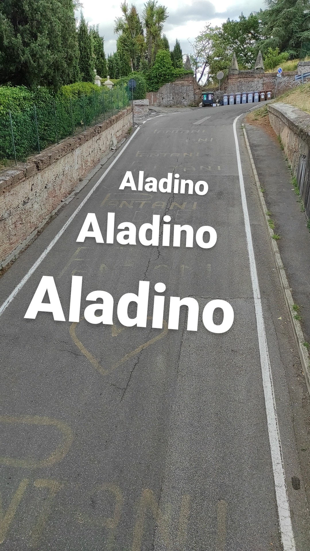 onlyaladino thumbnail