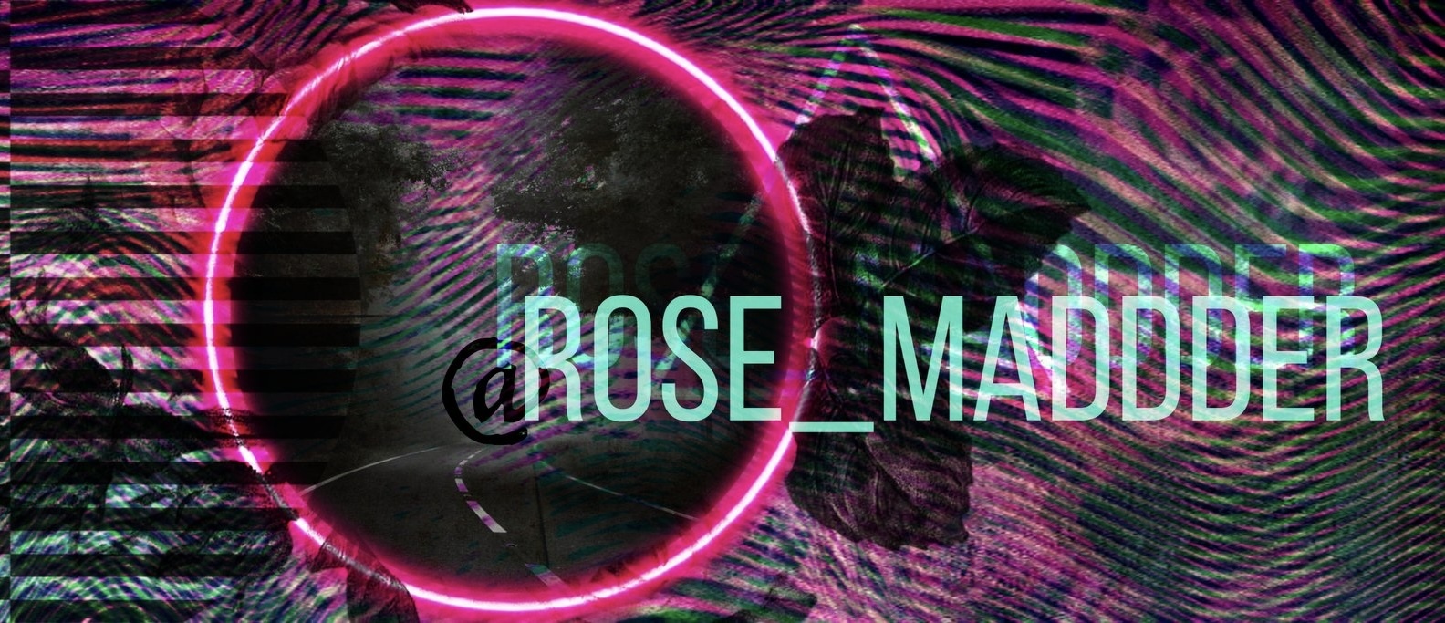 Rose thumbnail