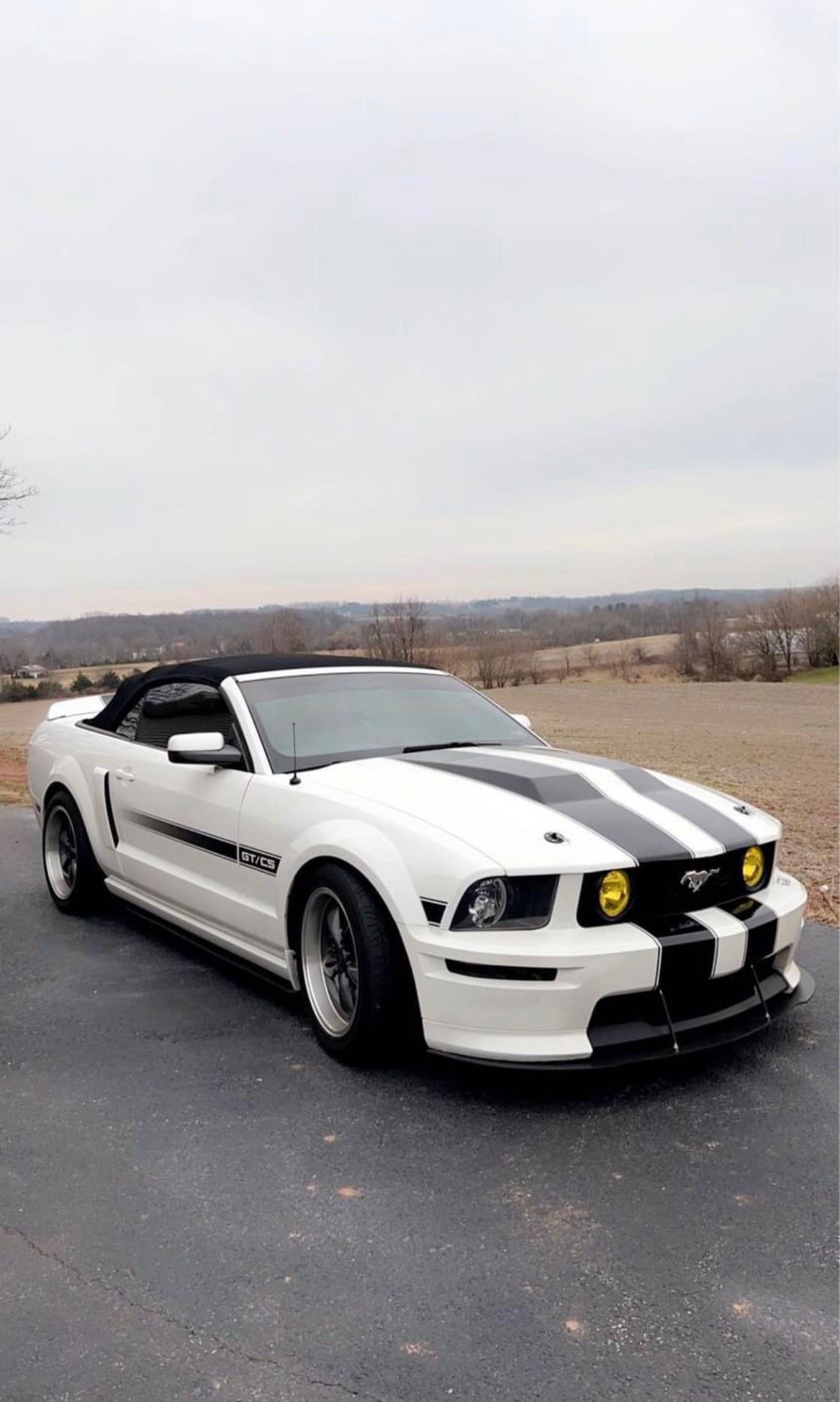 Mustangsally profile