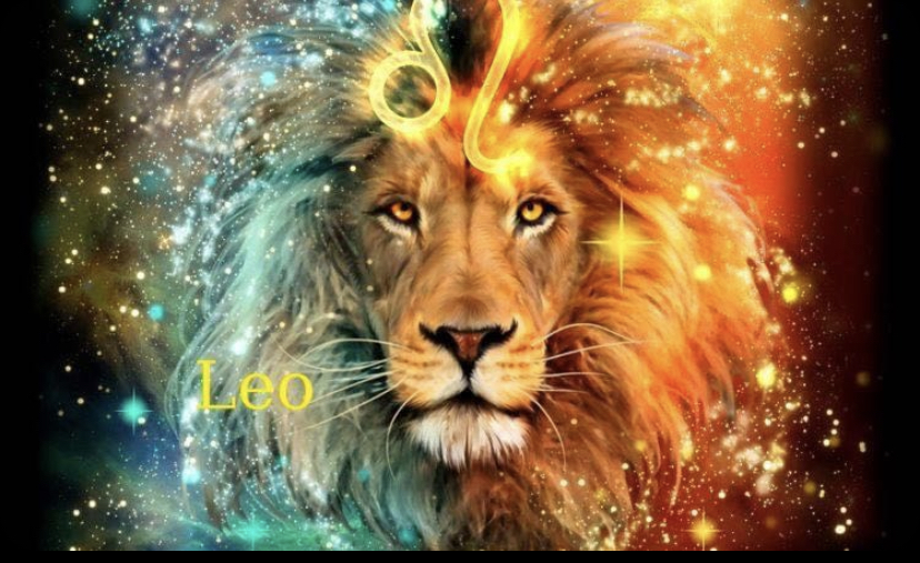 King 🤴🏾♌️ Leo profile