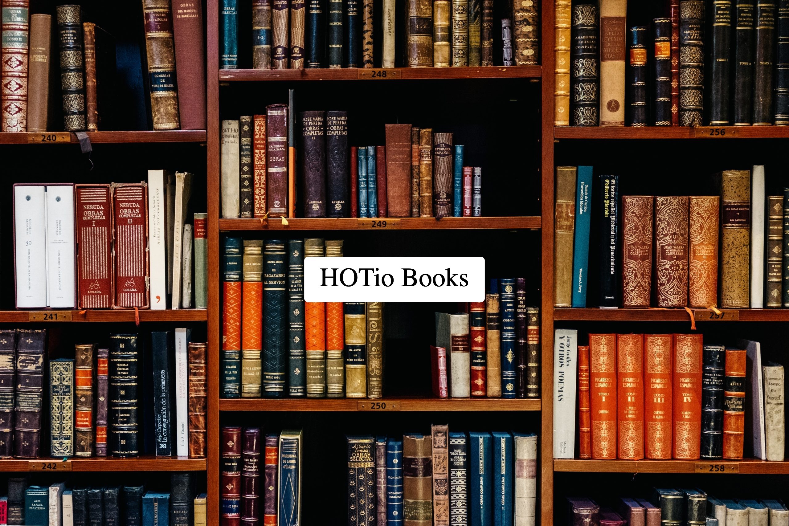 HOTio Books profile