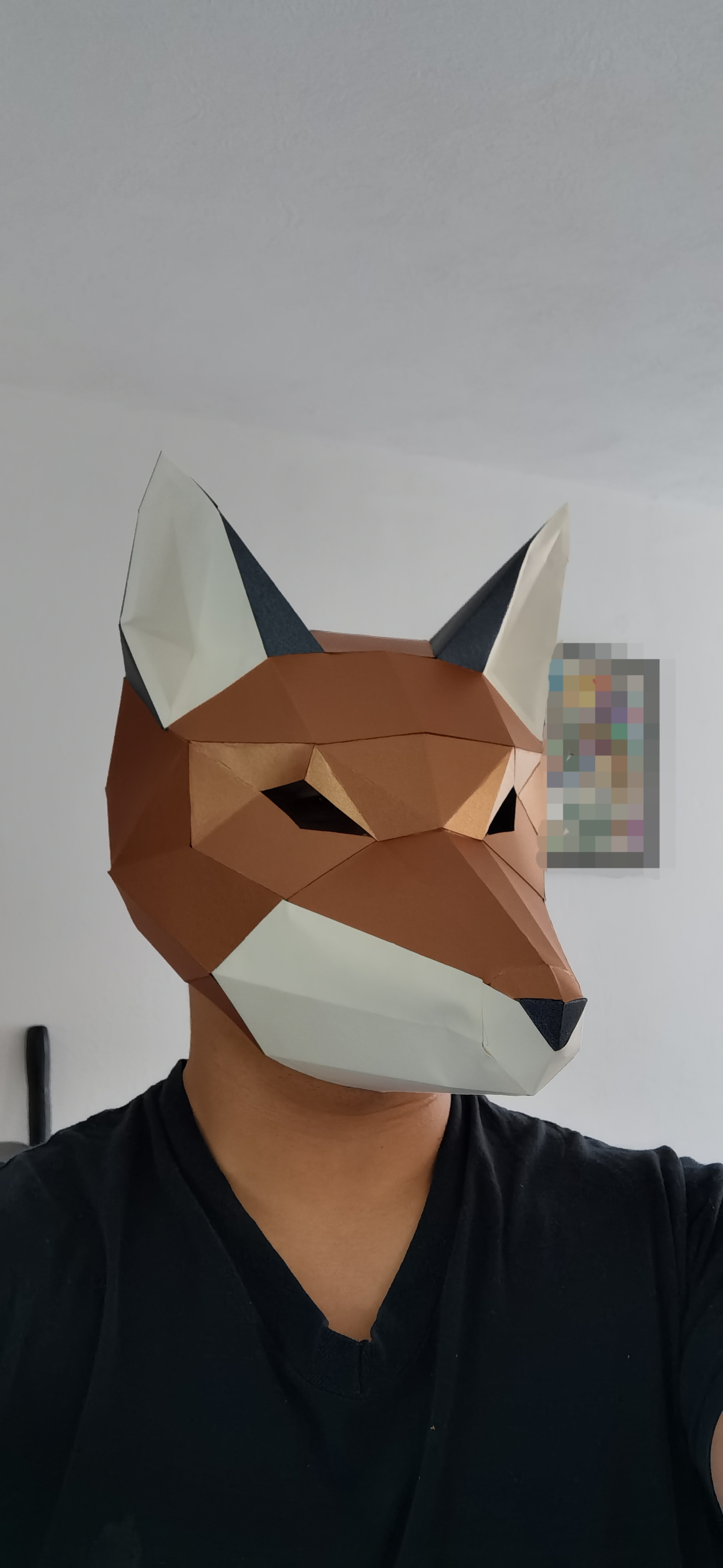 Fox_1_Inu thumbnail