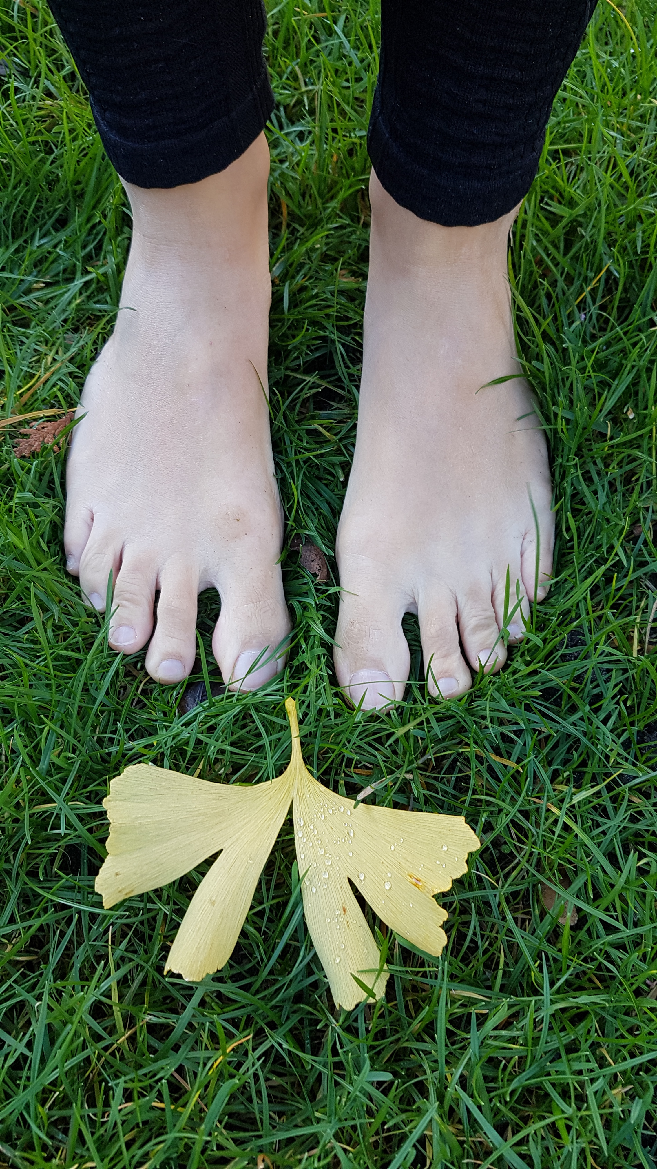 reys_feet profile