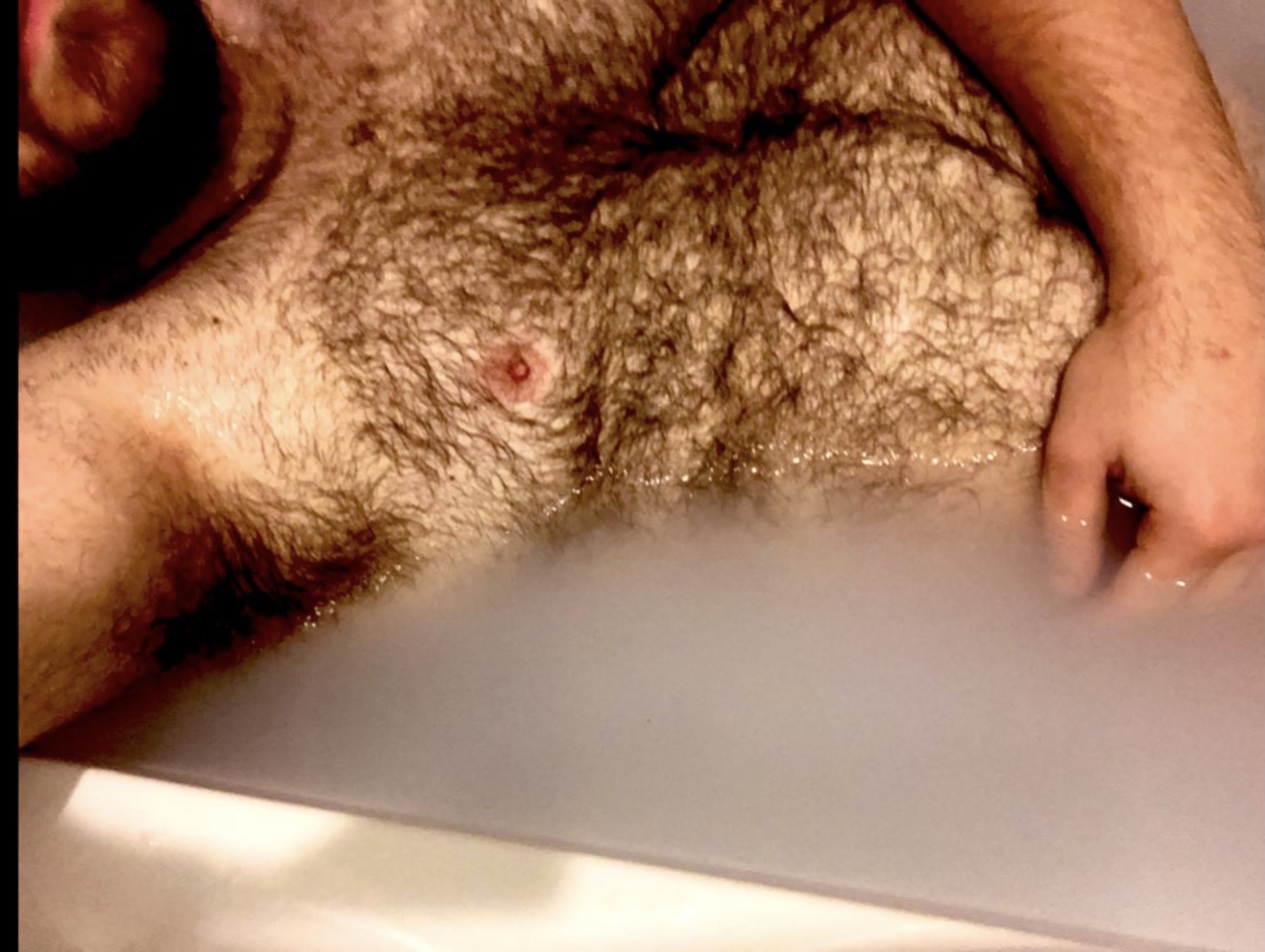 Hairy college cub thumbnail